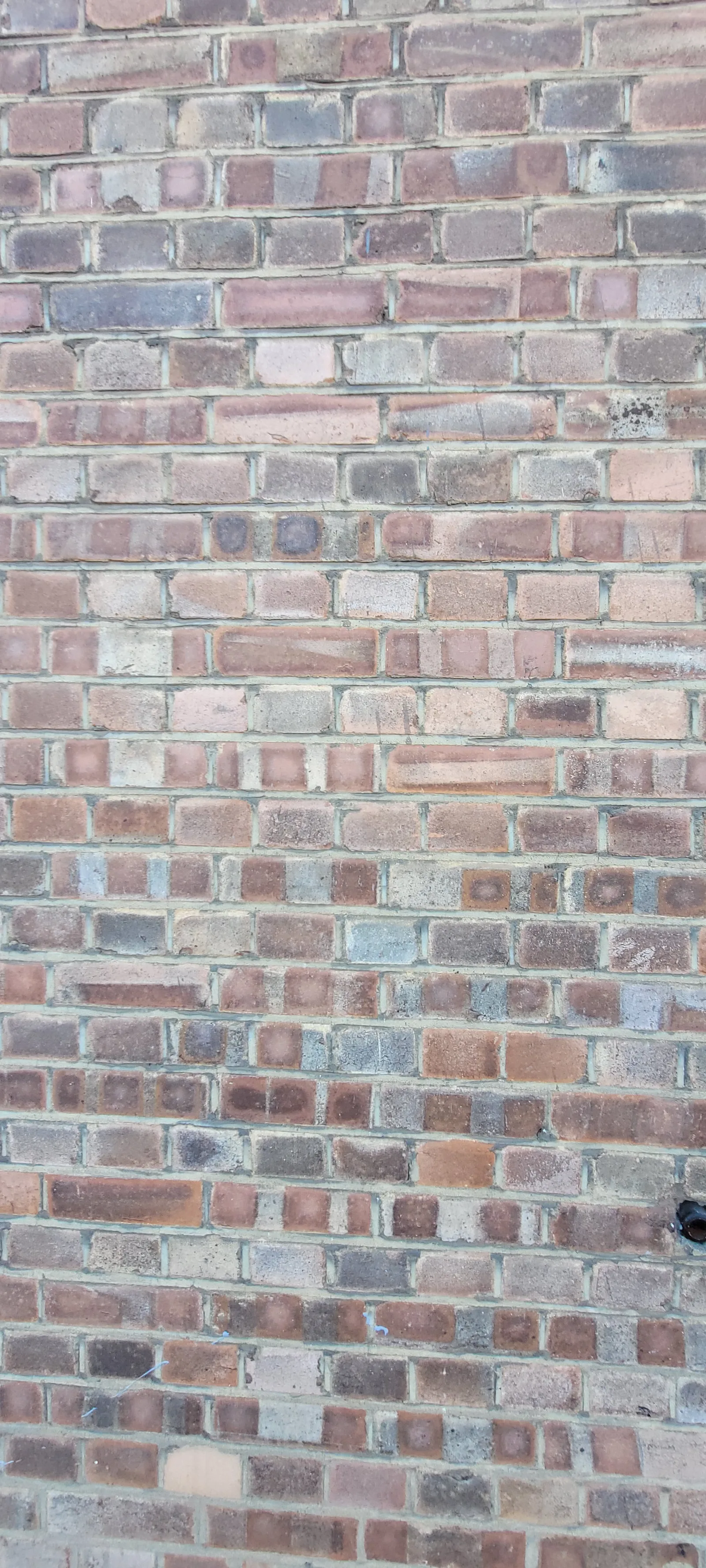 Brick5 texture