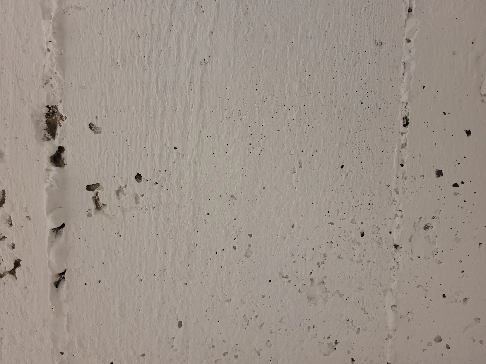 Concrete13 texture