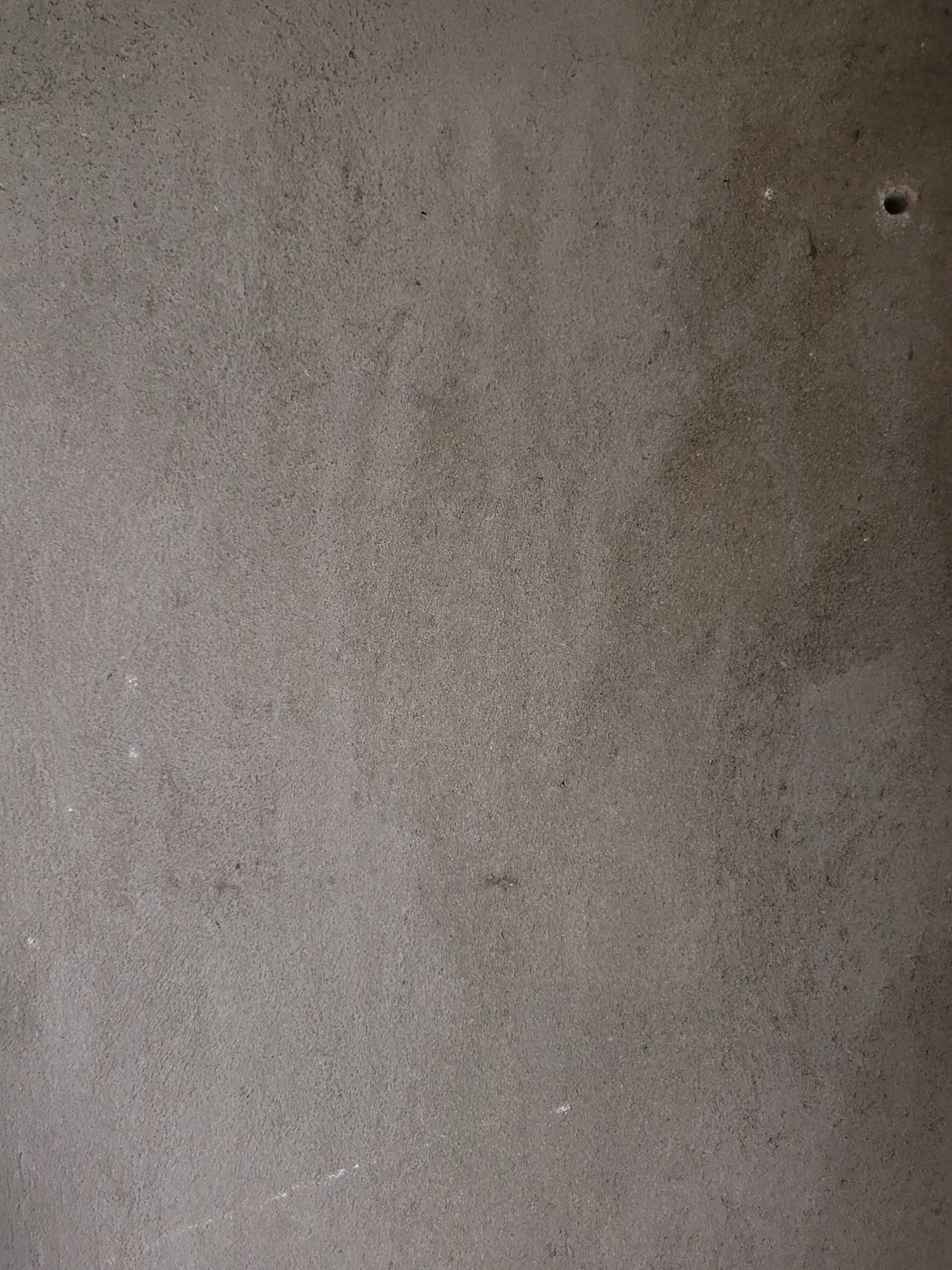 Concrete20 texture