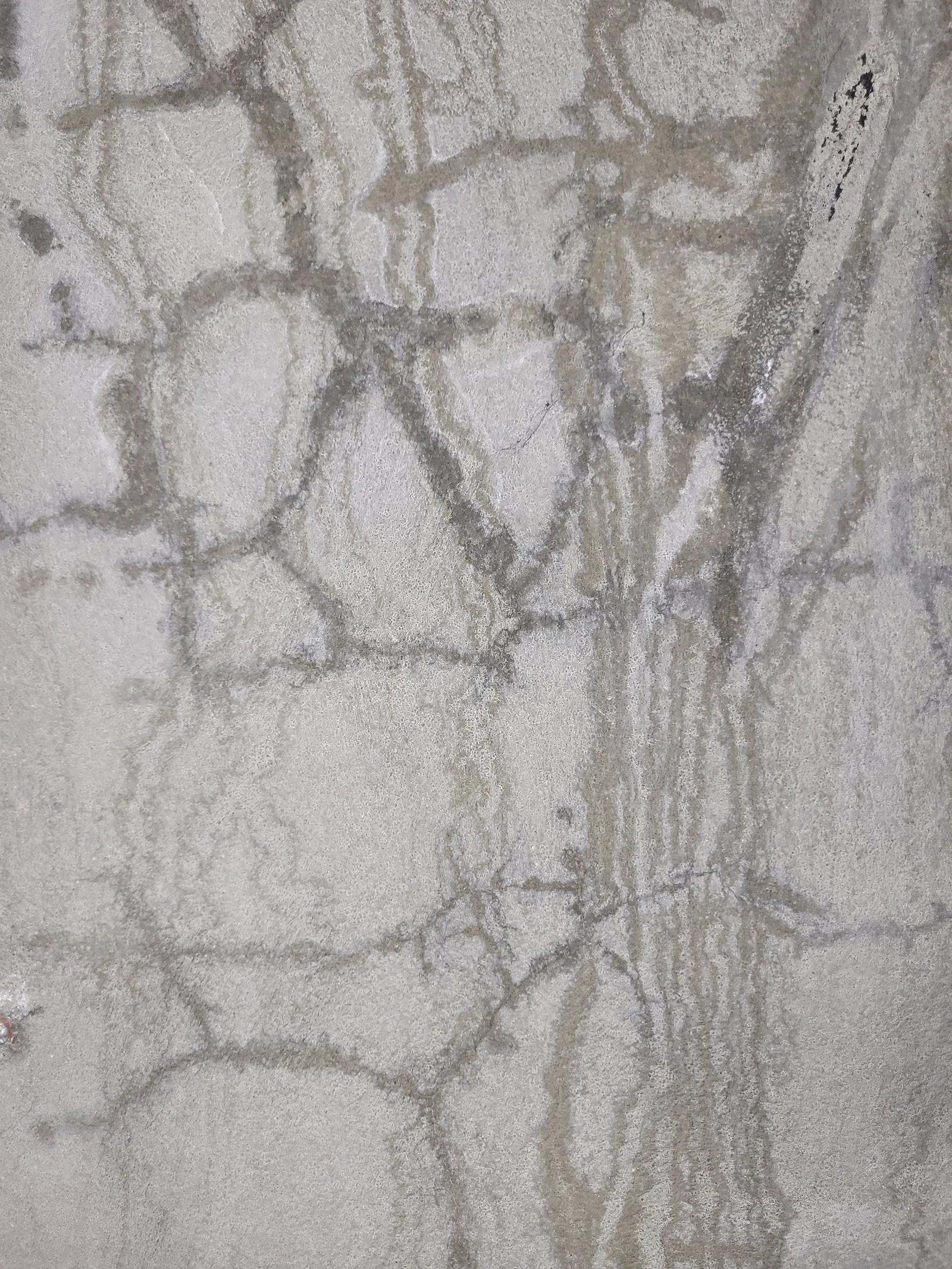Concrete26 texture