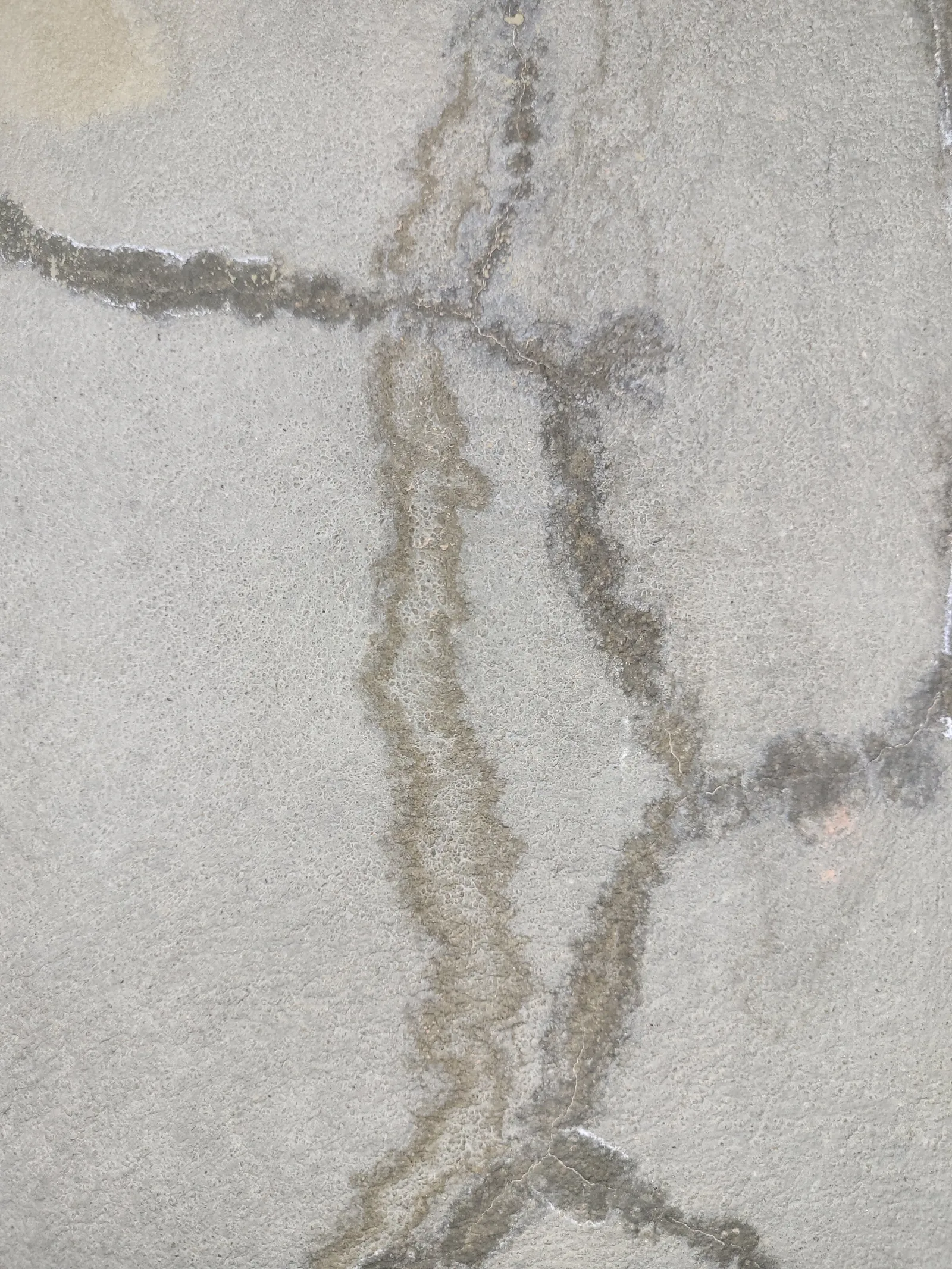 Concrete28 texture