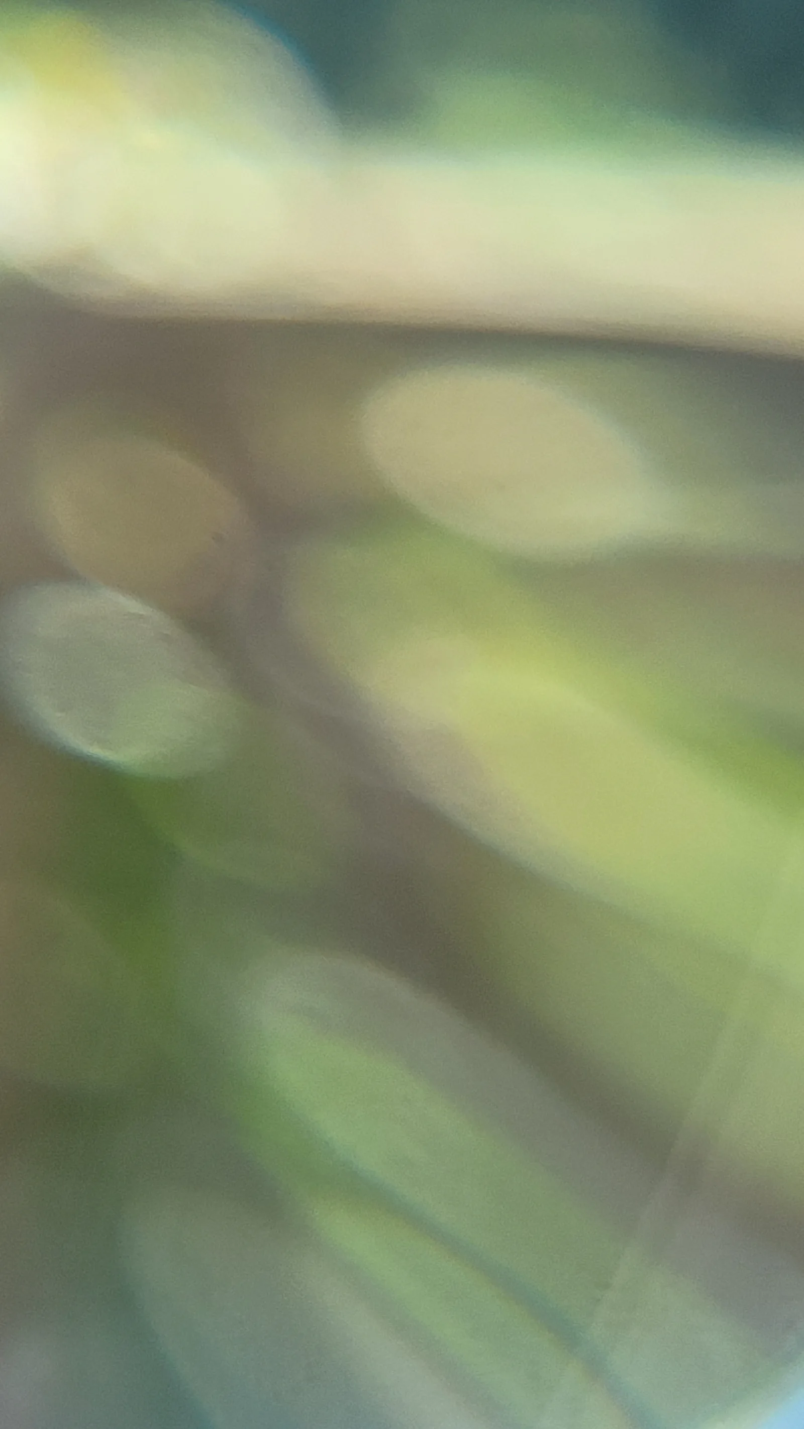 Glass14 texture