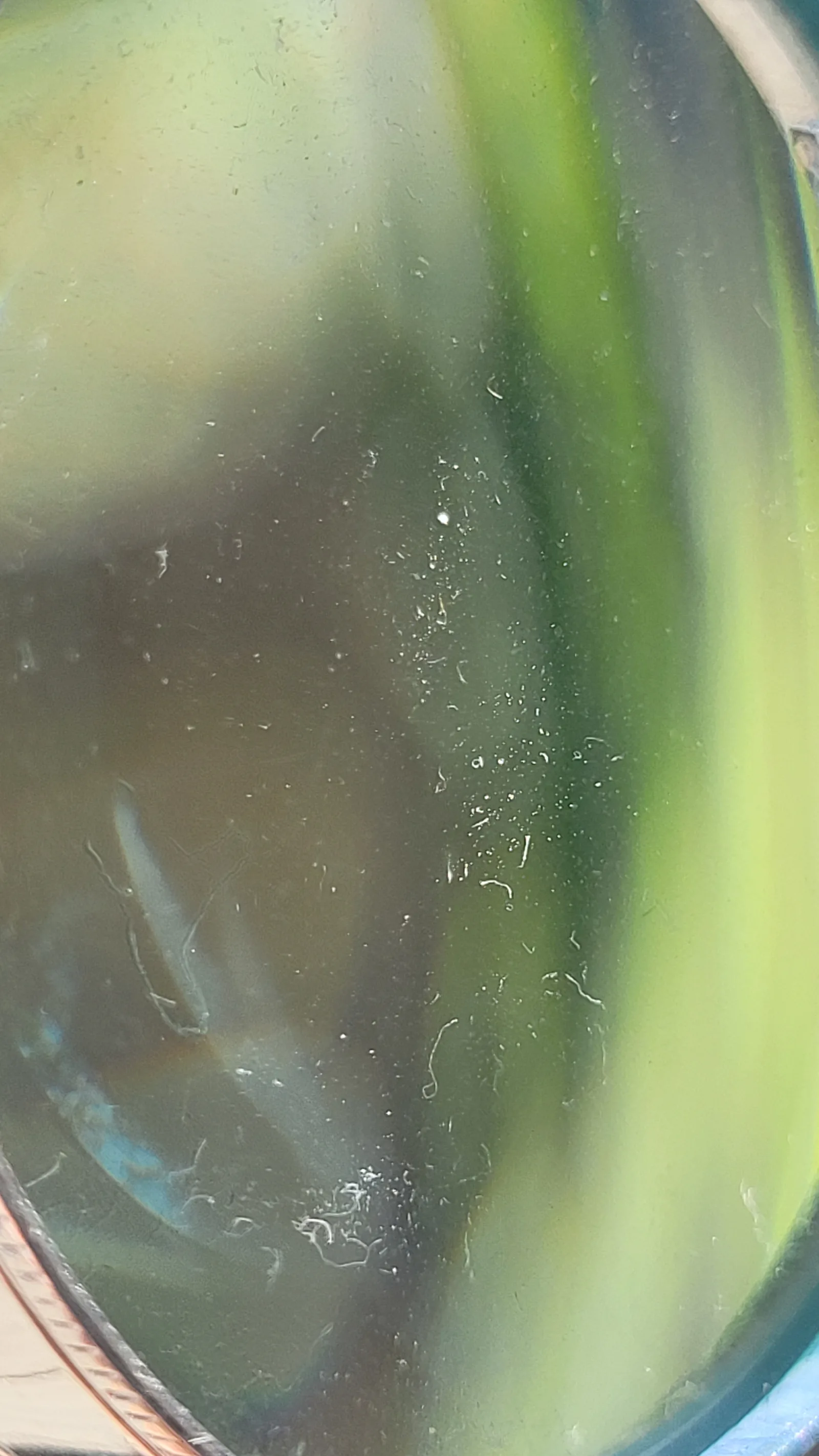 Glass16 texture
