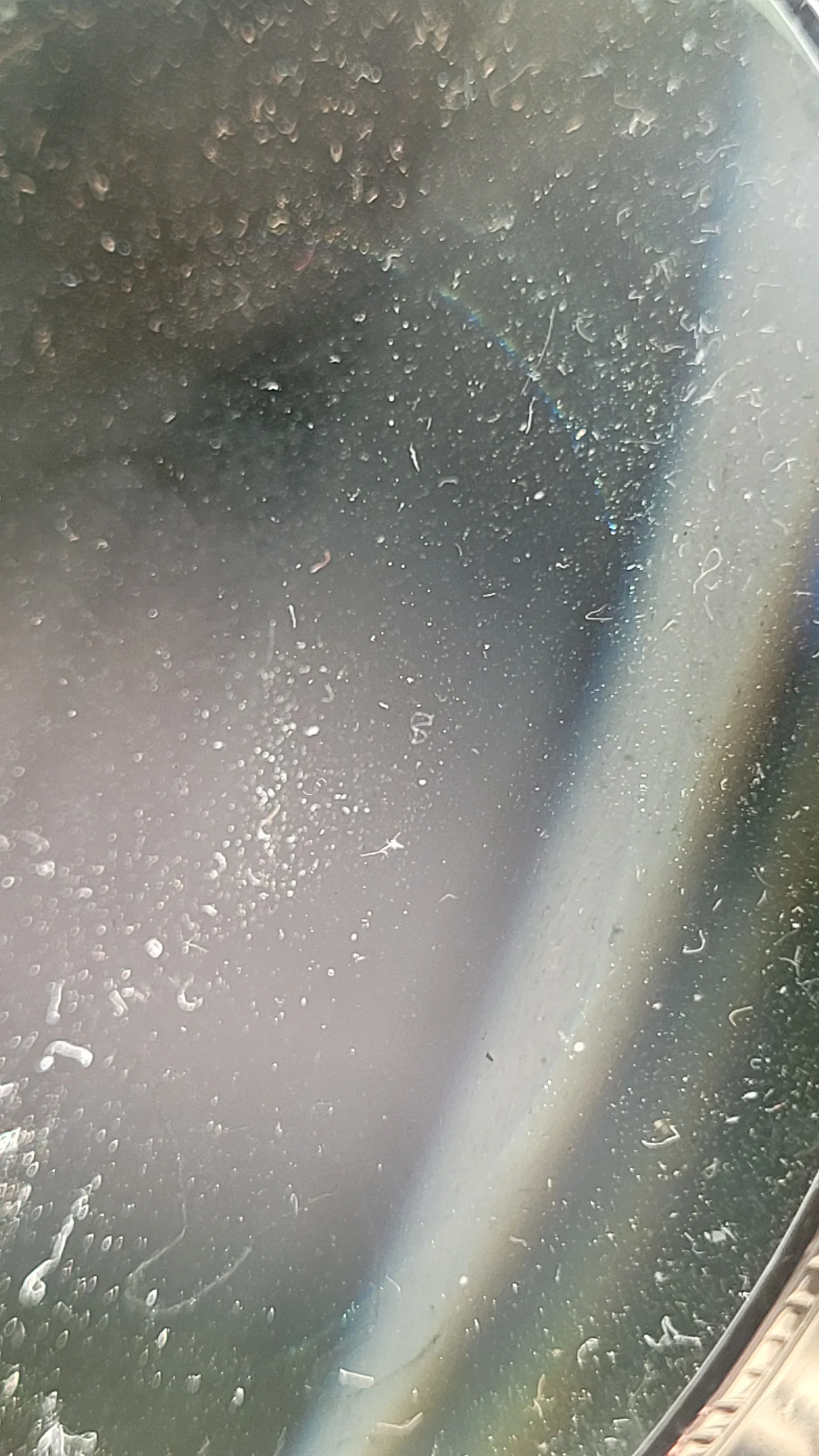 Glass21 texture