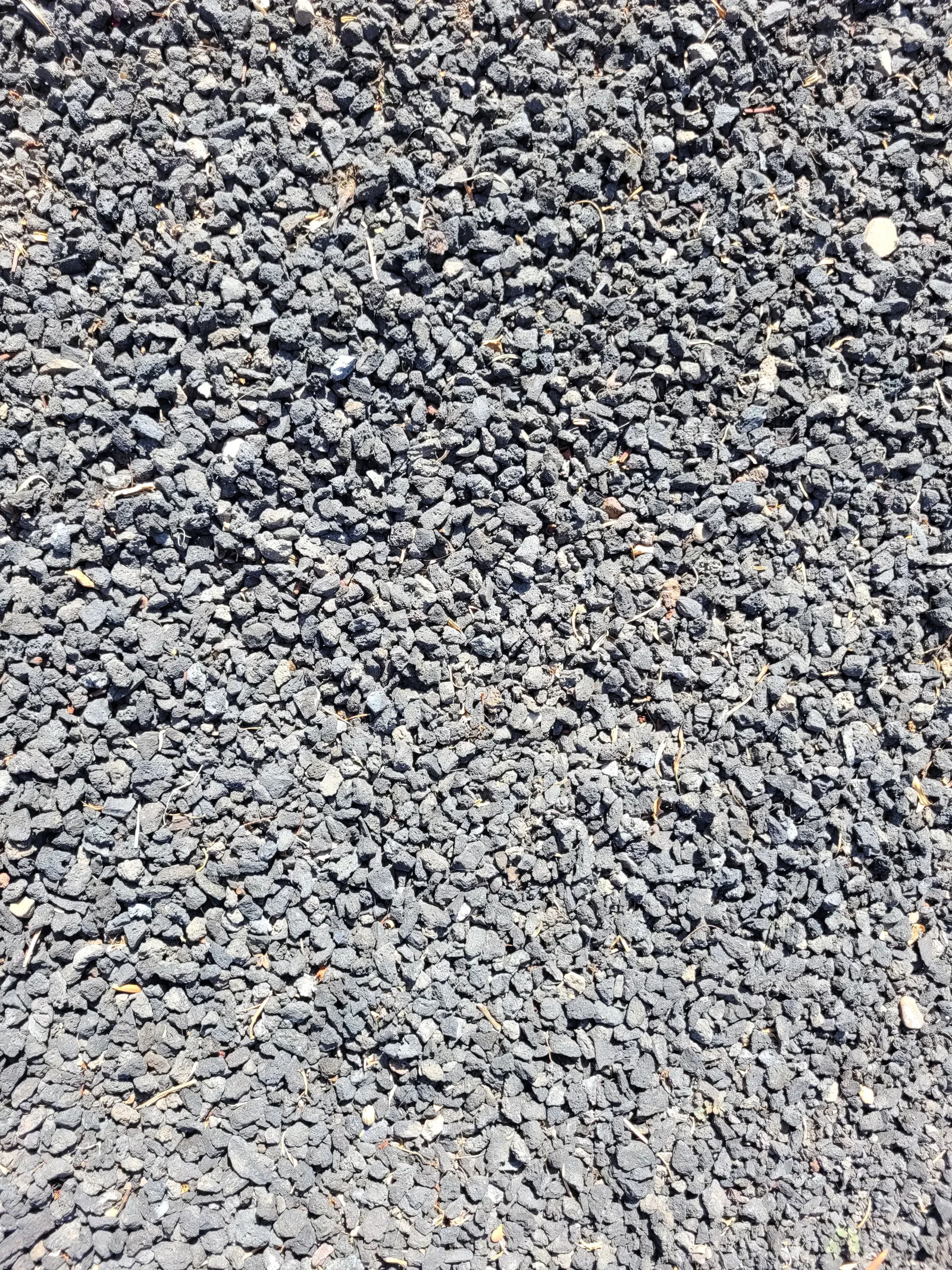 Ground1 texture
