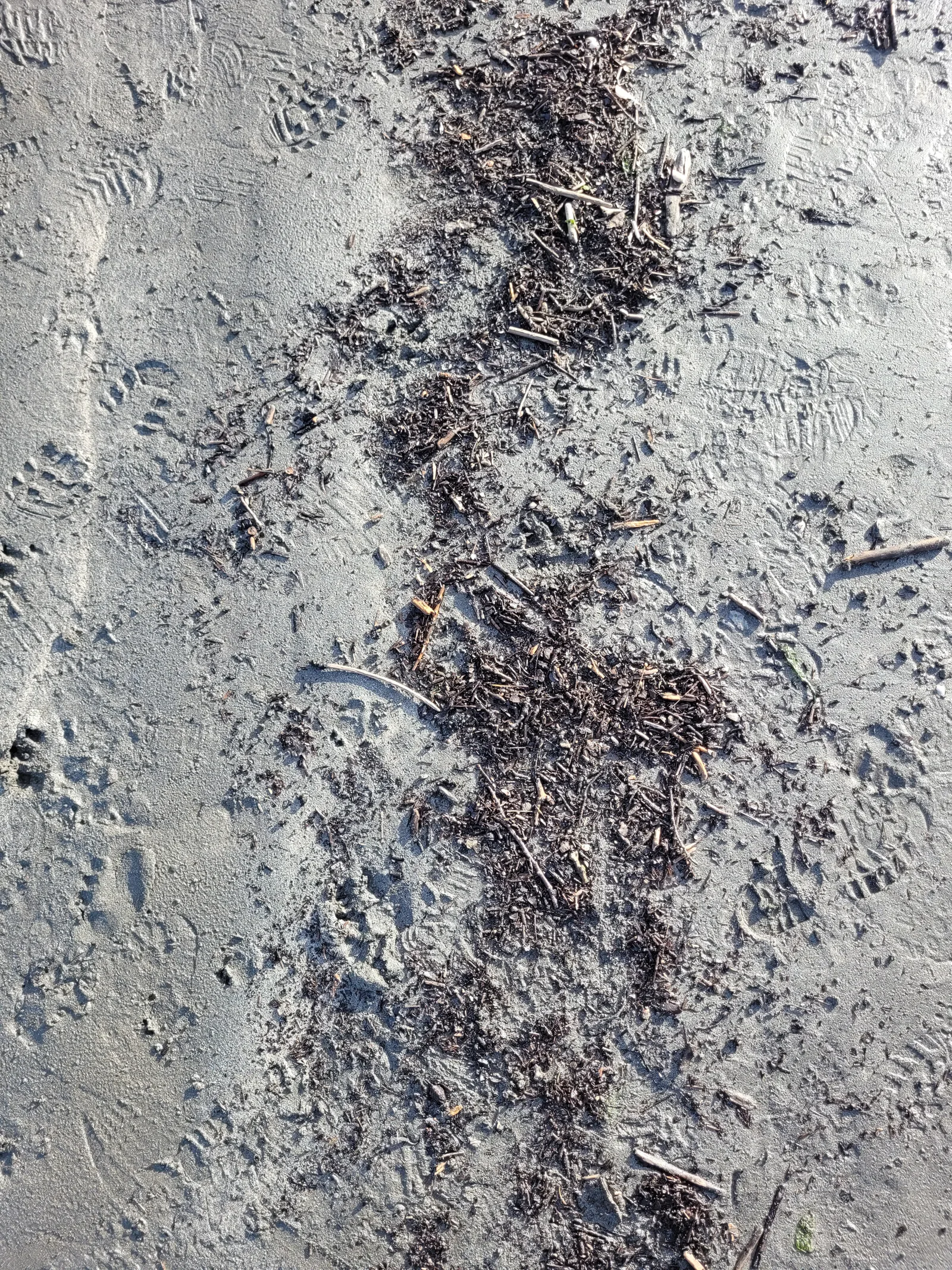Ground5 texture