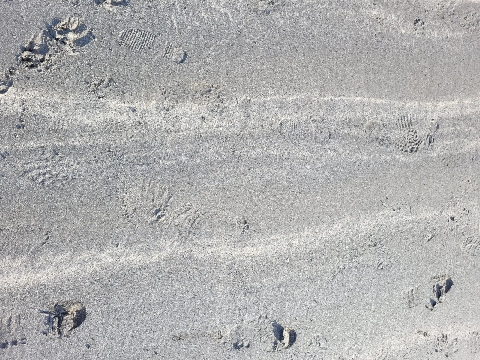 Ground6 texture
