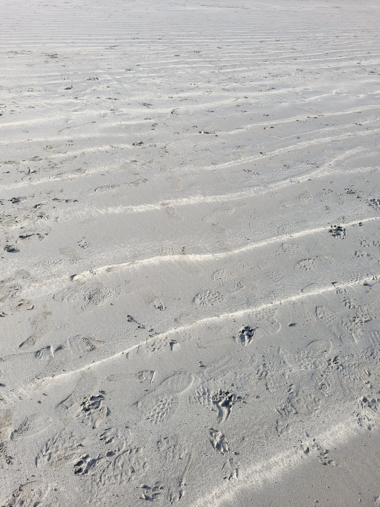 Ground8 texture