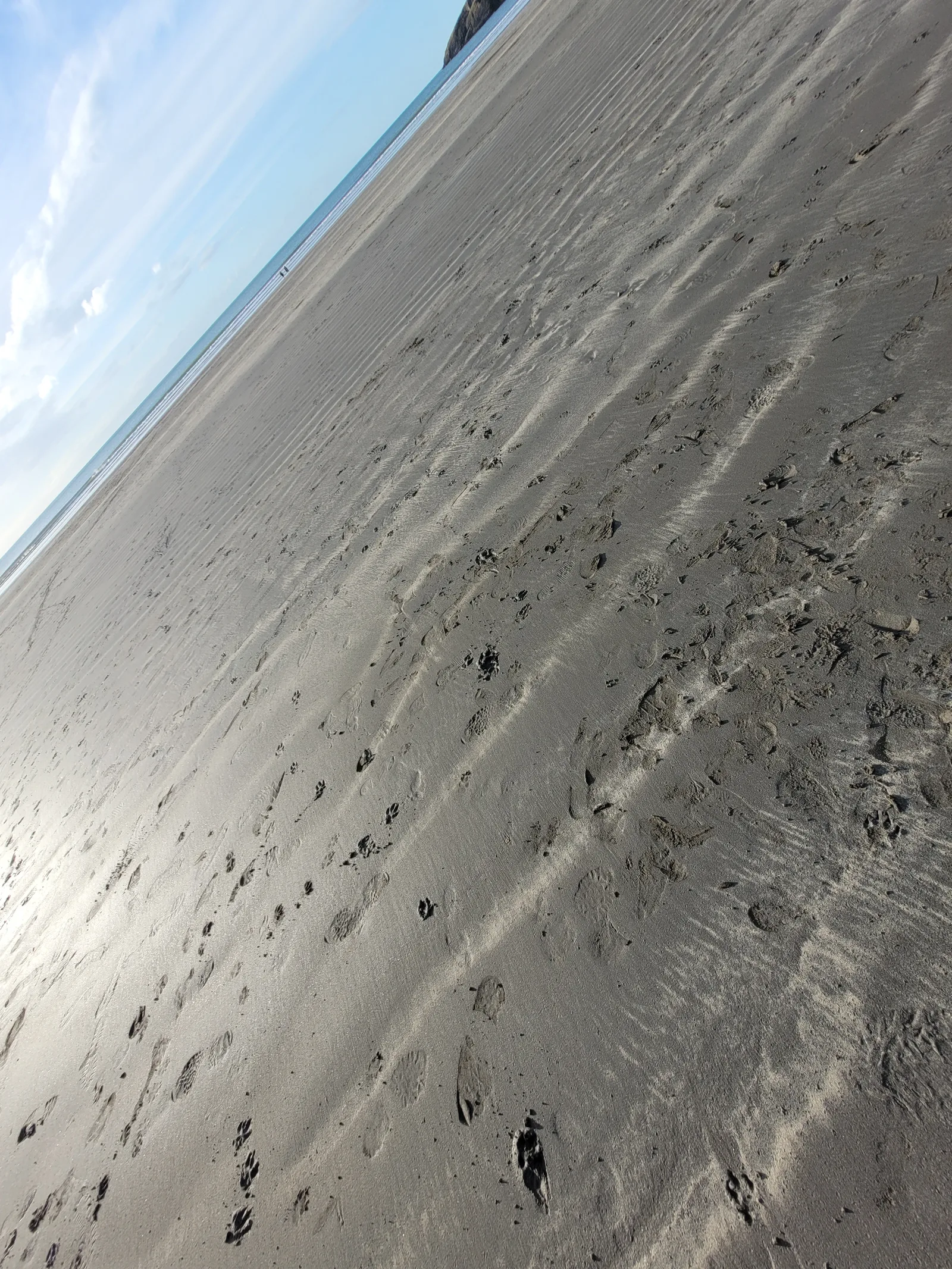 Ground9 texture