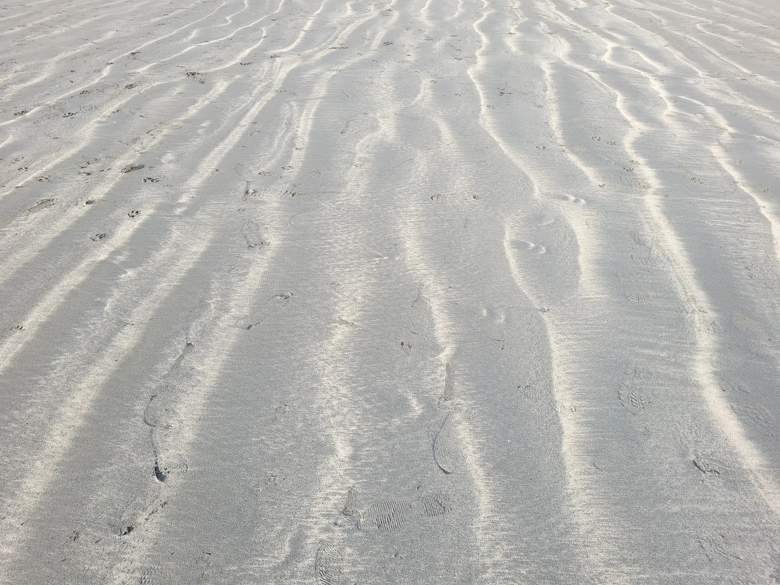 Ground12 texture