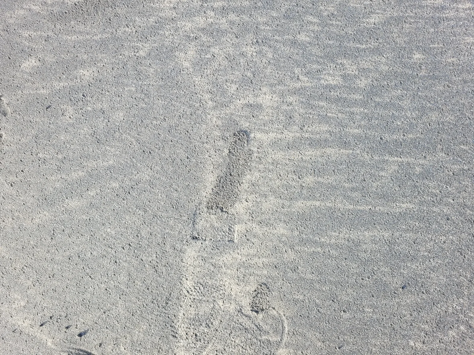 Ground13 texture