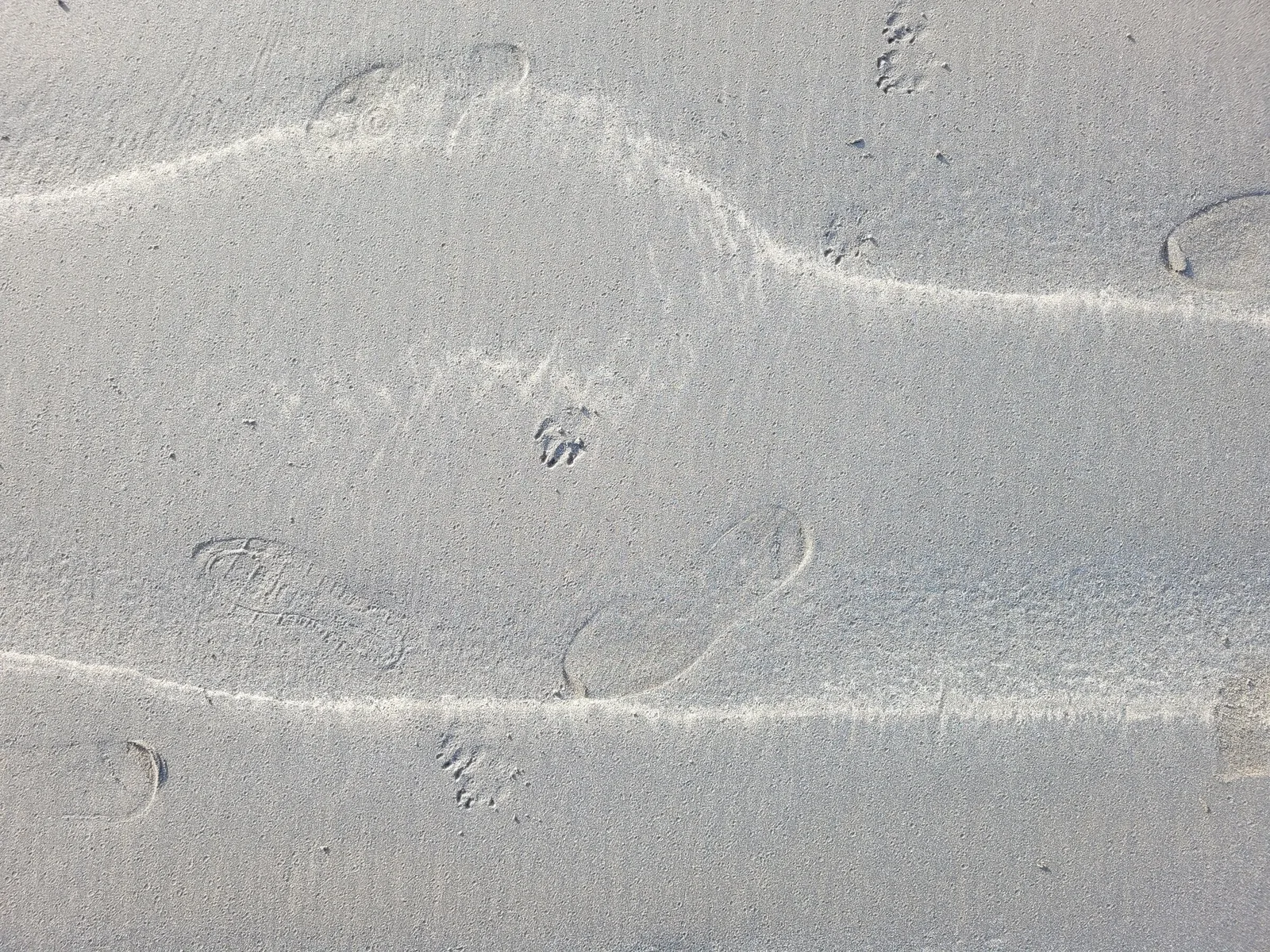 Ground15 texture