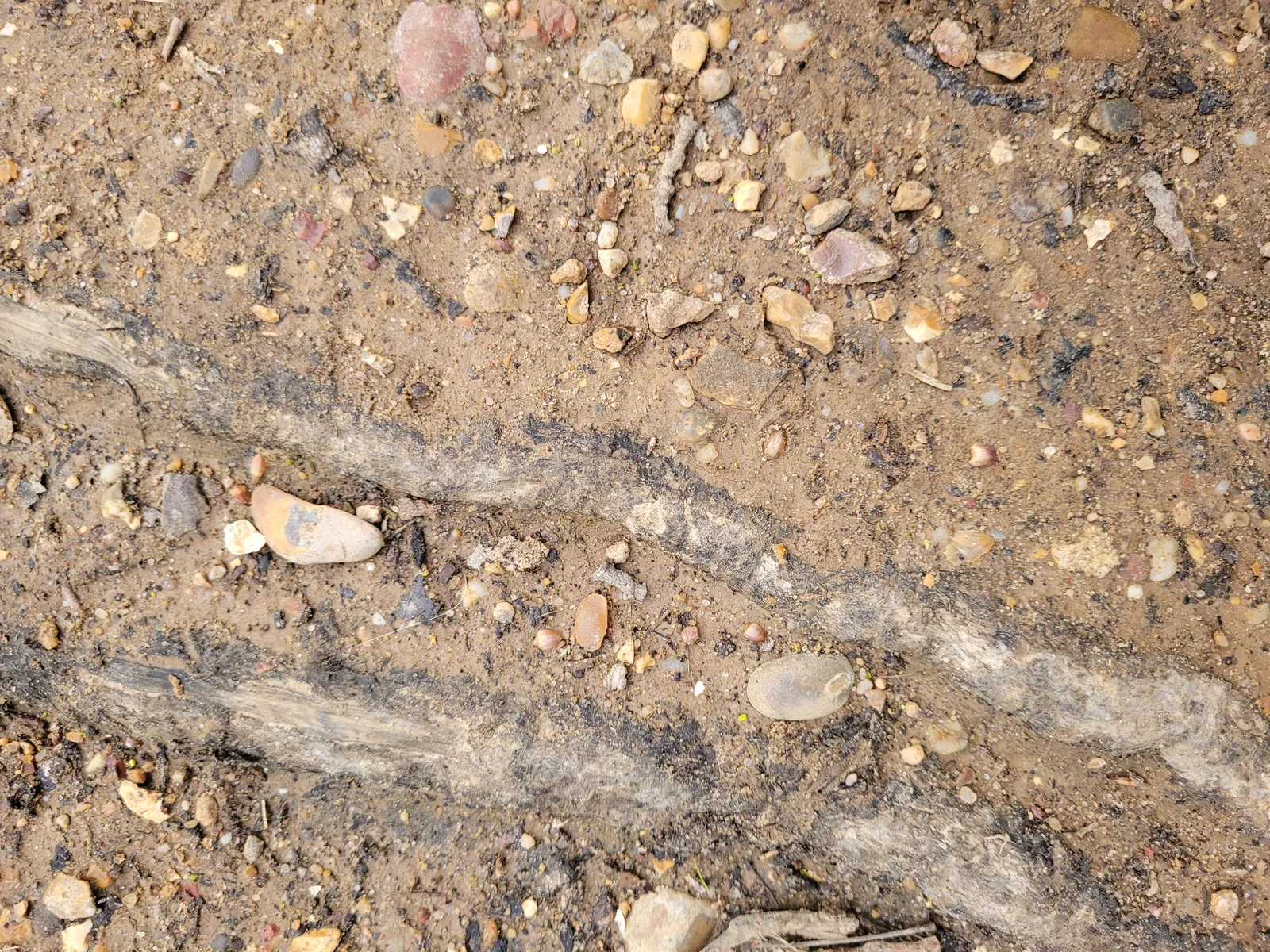 Ground20 texture