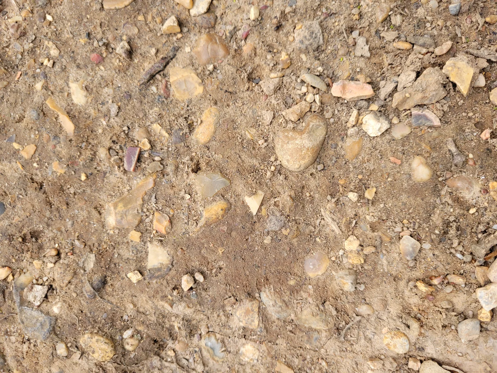 Ground21 texture
