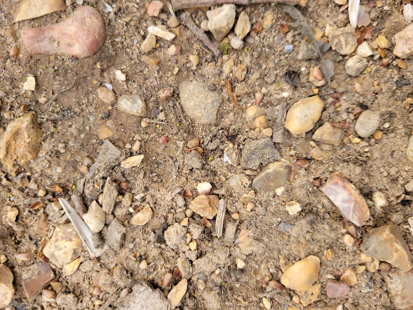 Ground24 texture