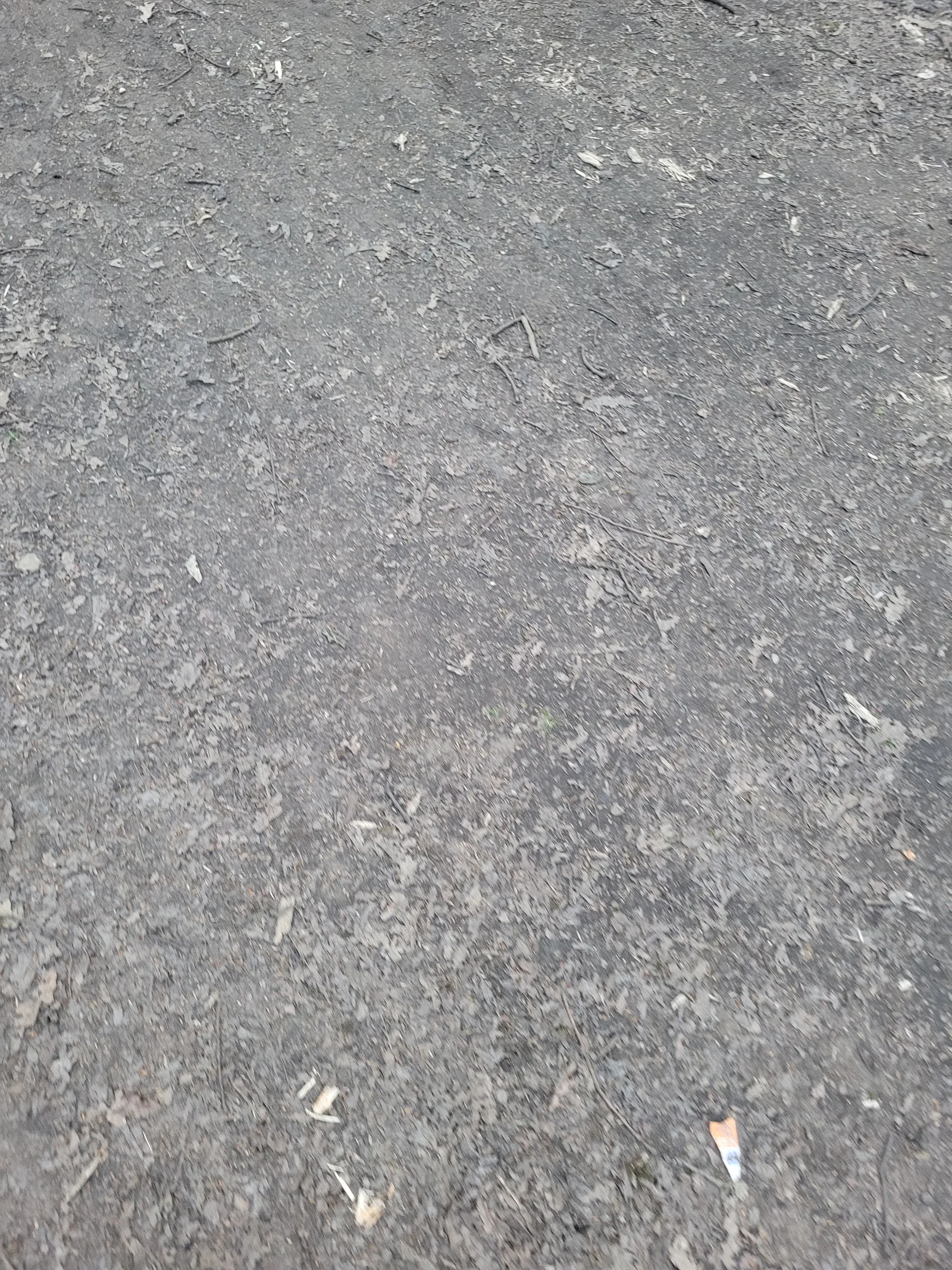 Ground27 texture