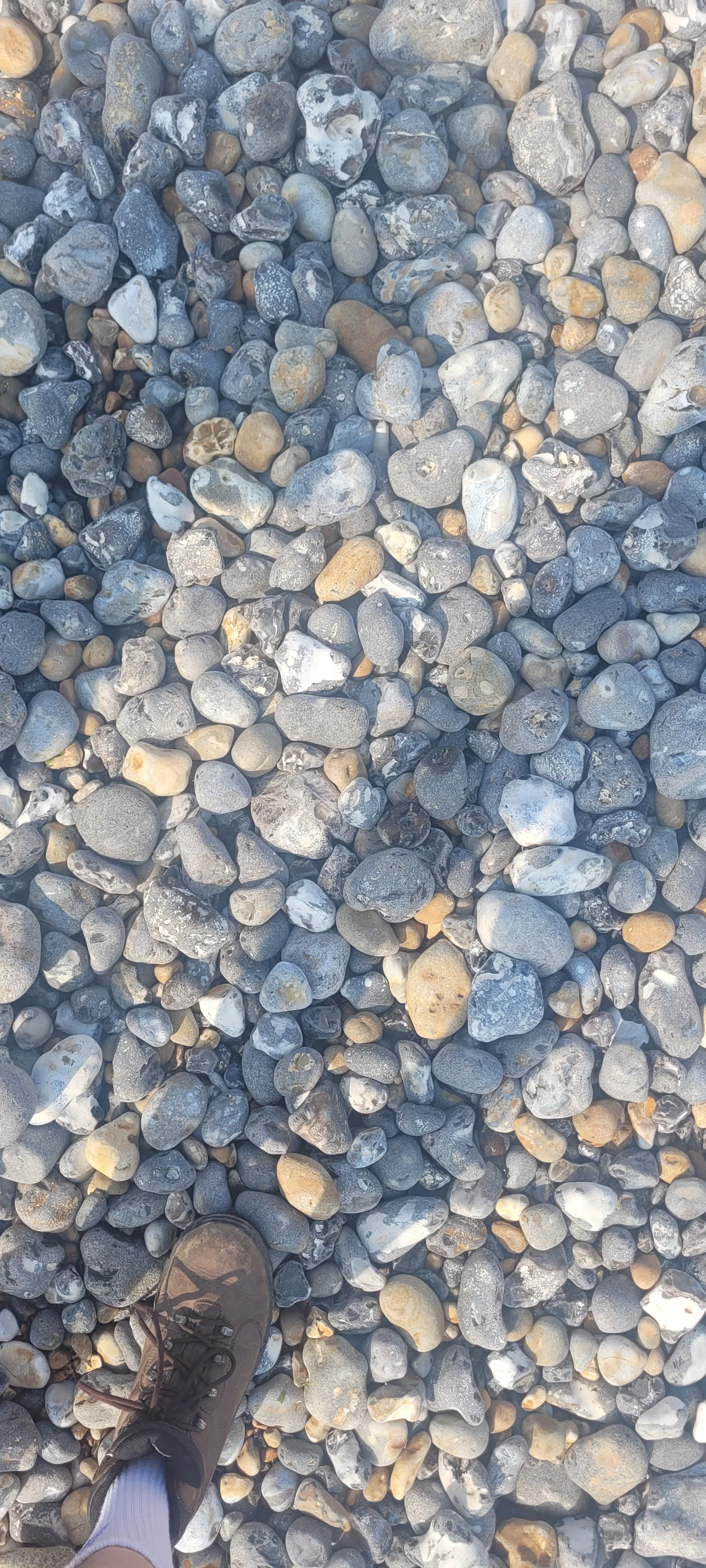 Ground28 texture