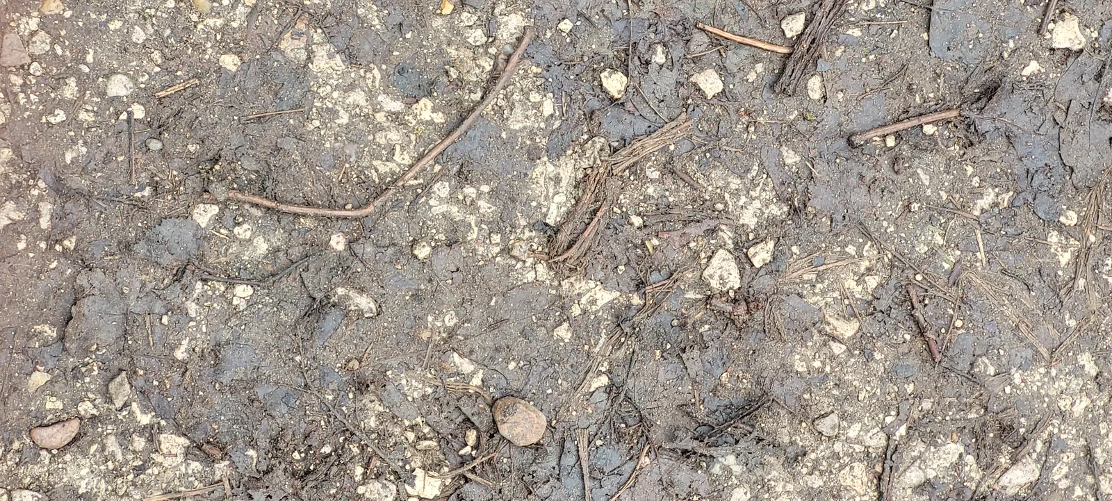 Ground30 texture