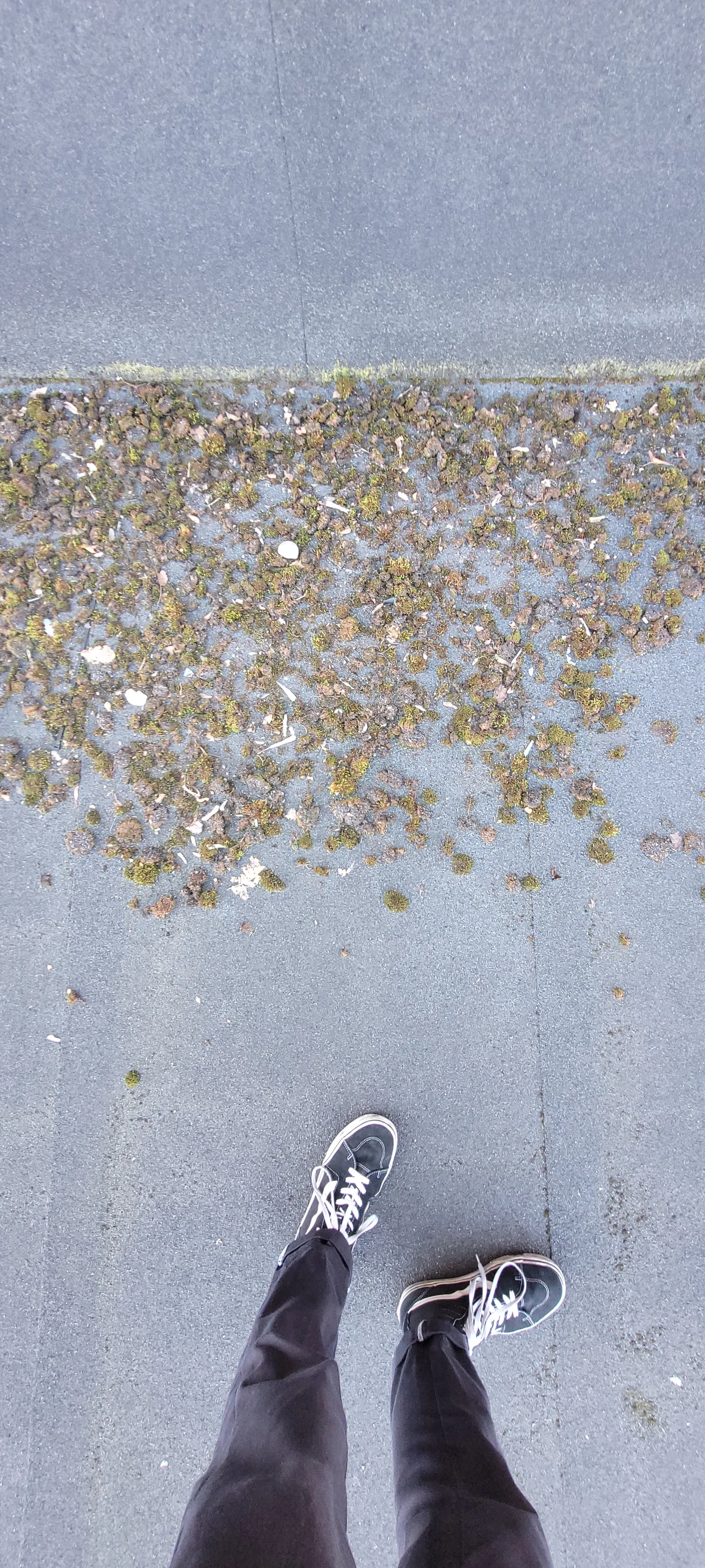 Ground38 texture