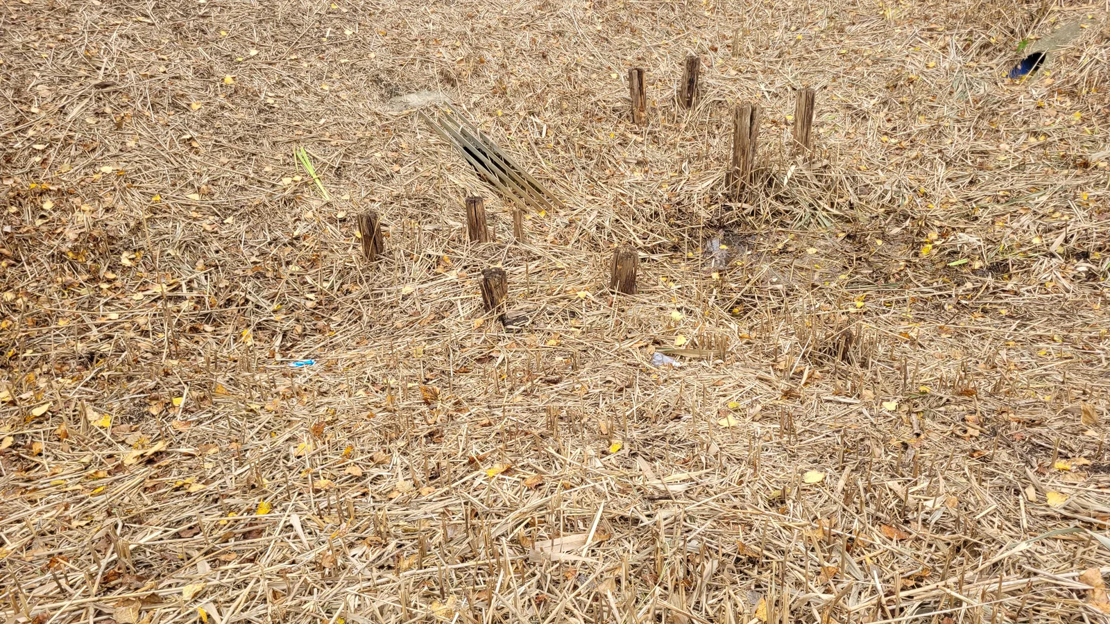Ground40 texture