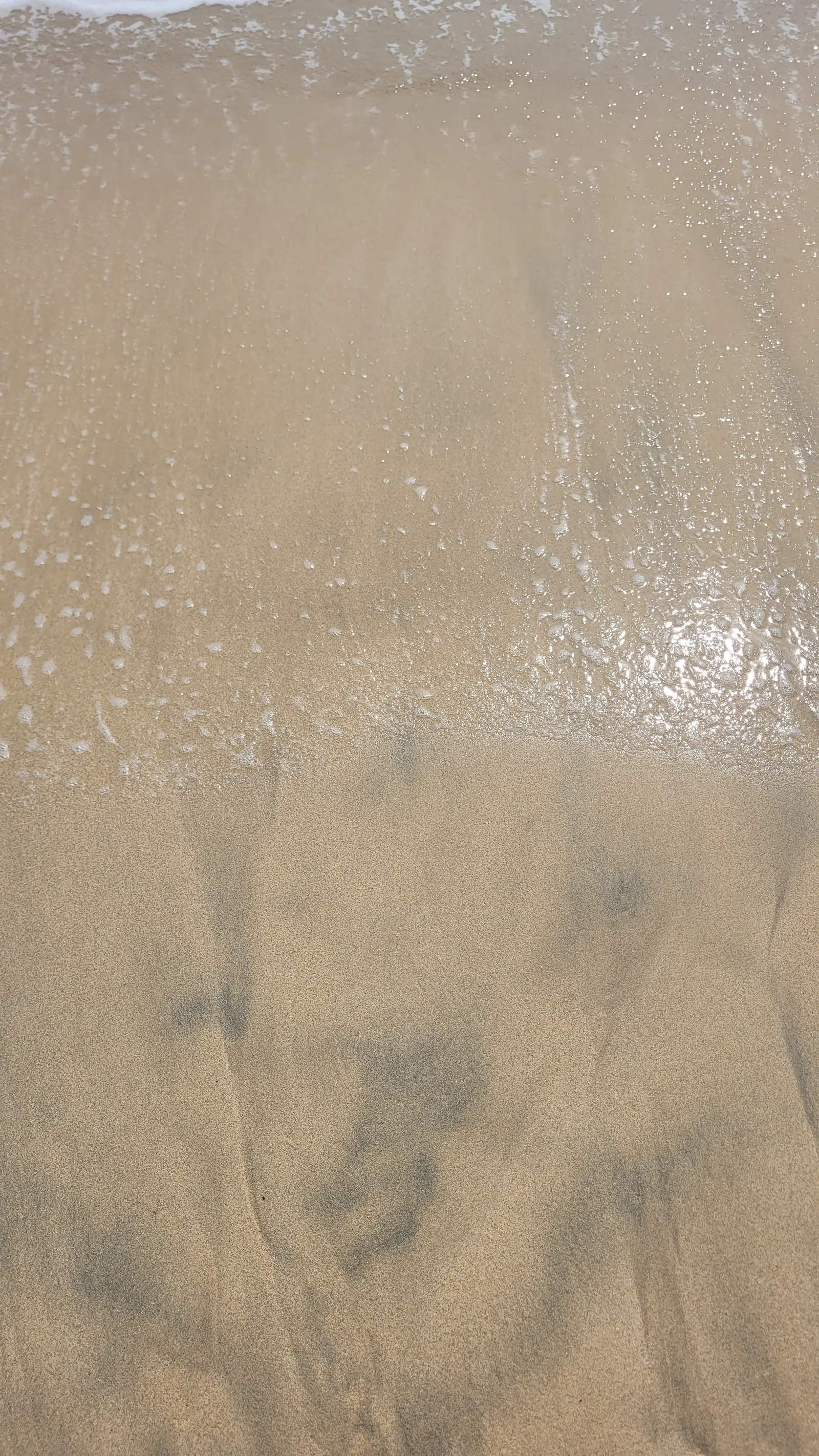 Ground42 texture