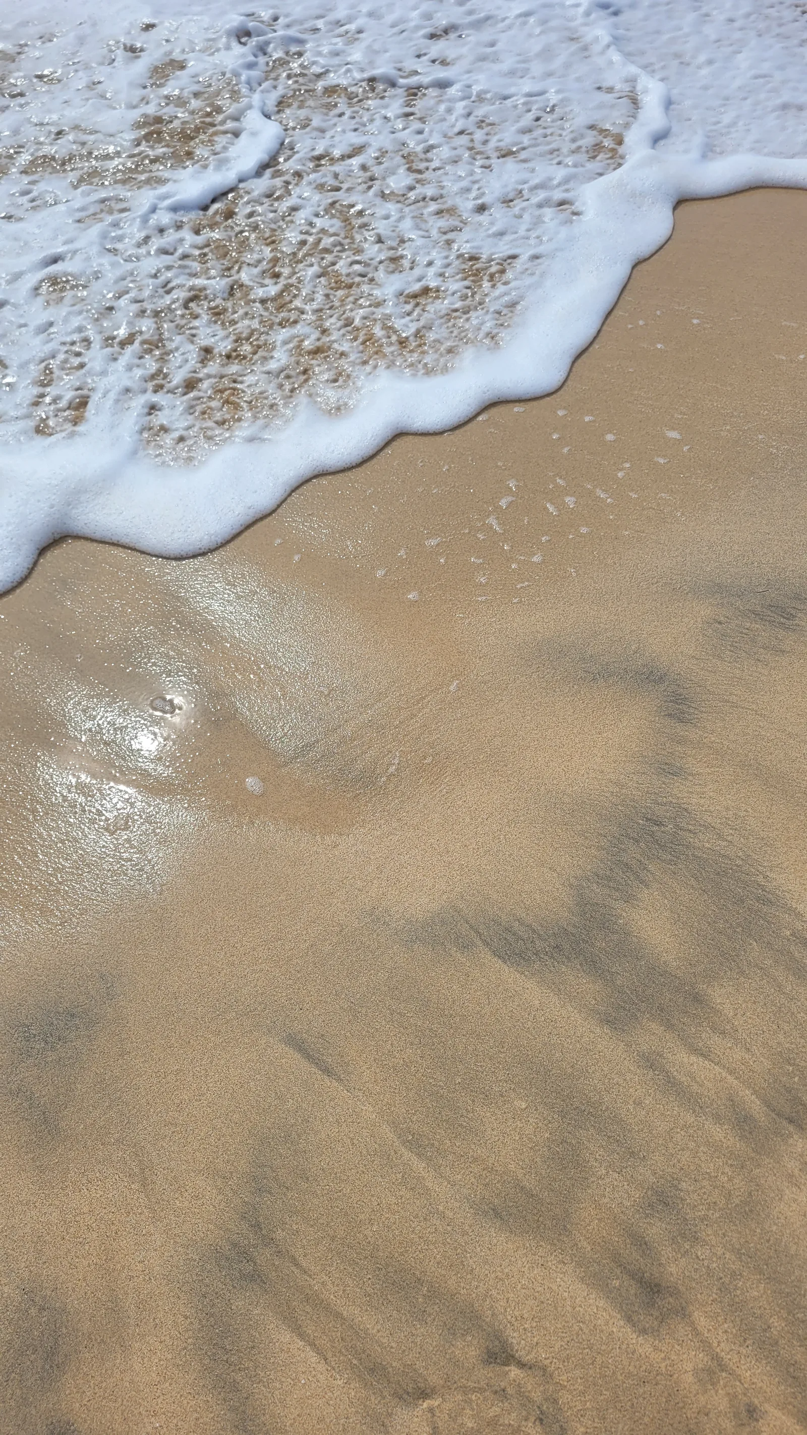 Ground45 texture