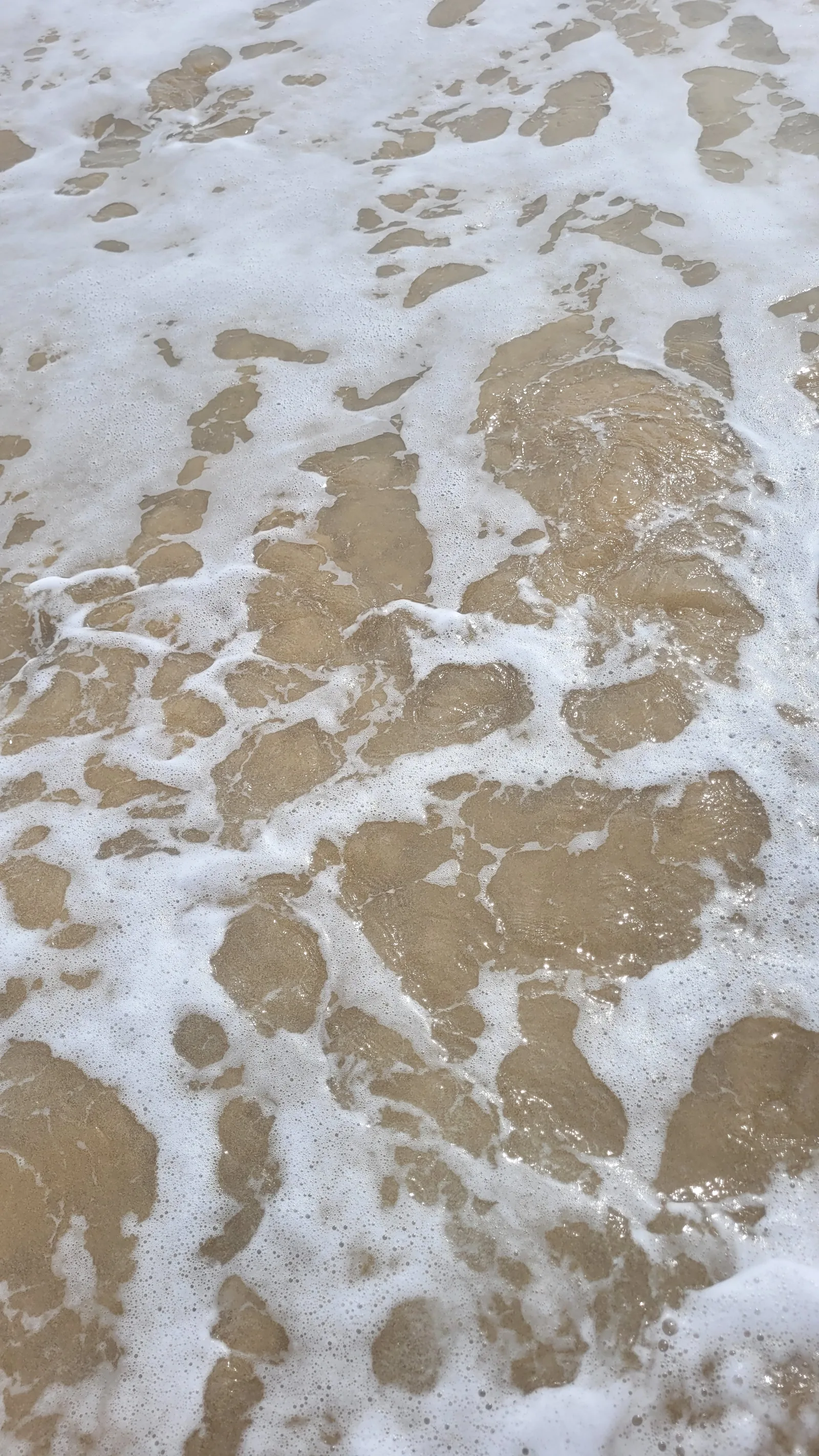 Ground47 texture