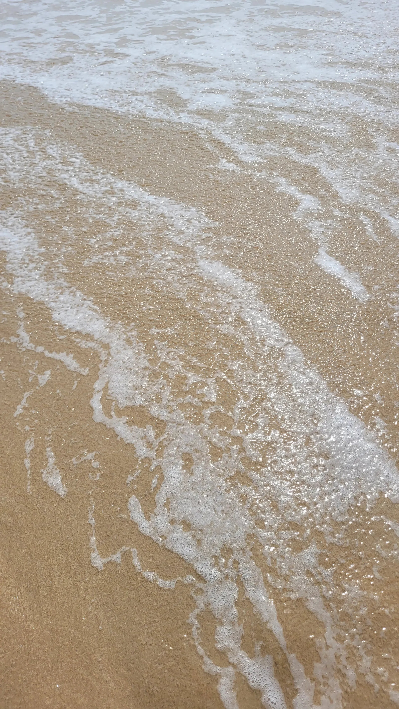 Ground50 texture