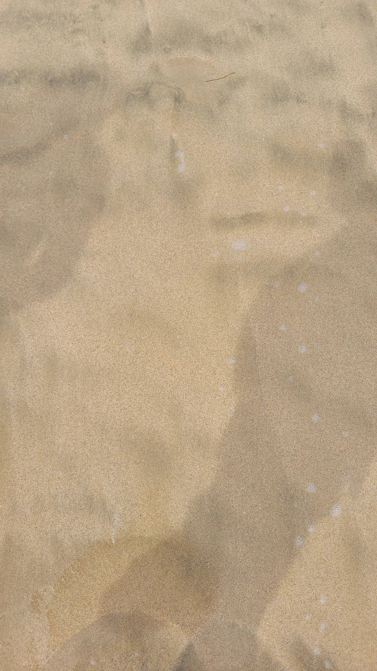 Ground51 texture