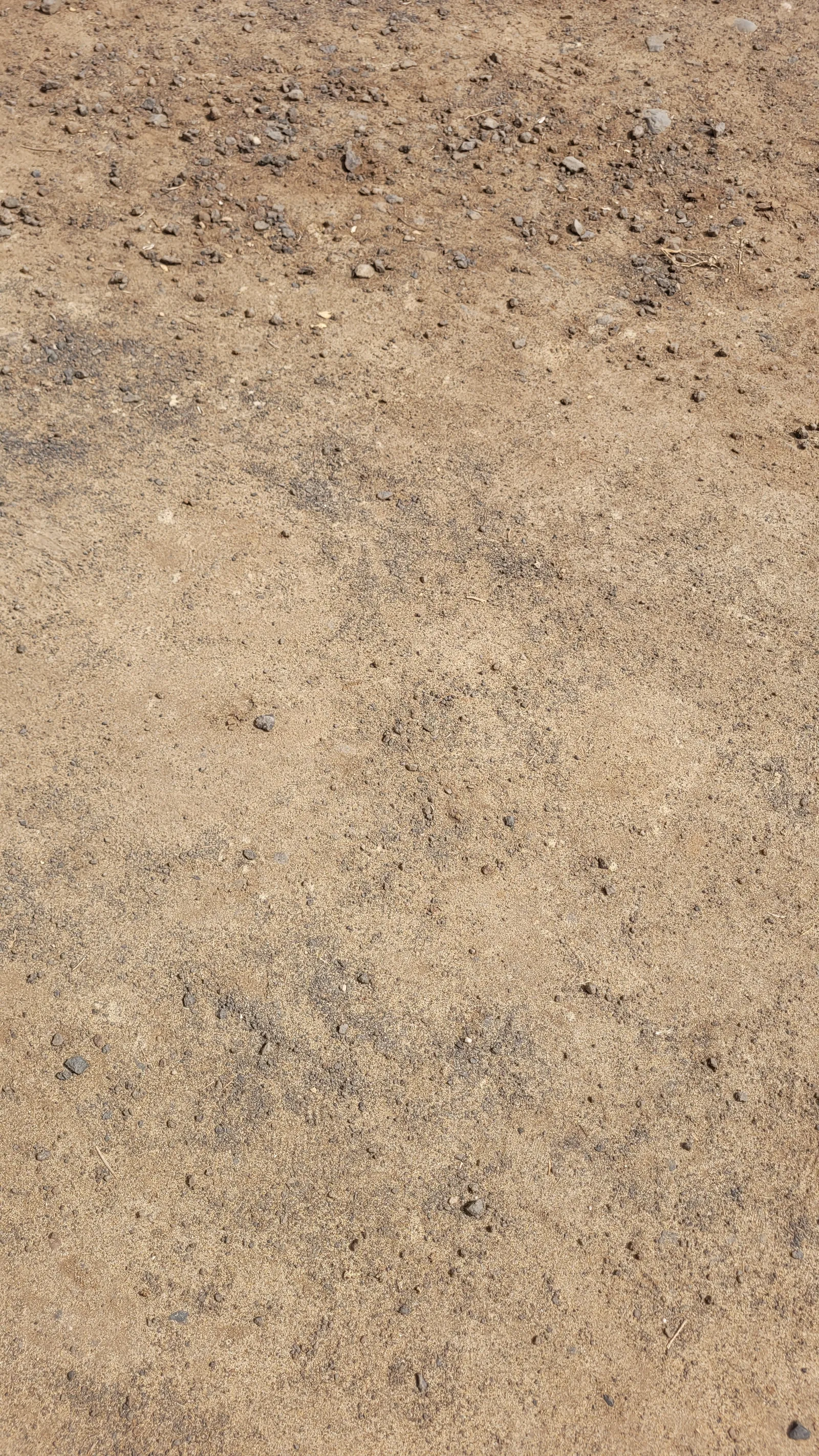 Ground60 texture
