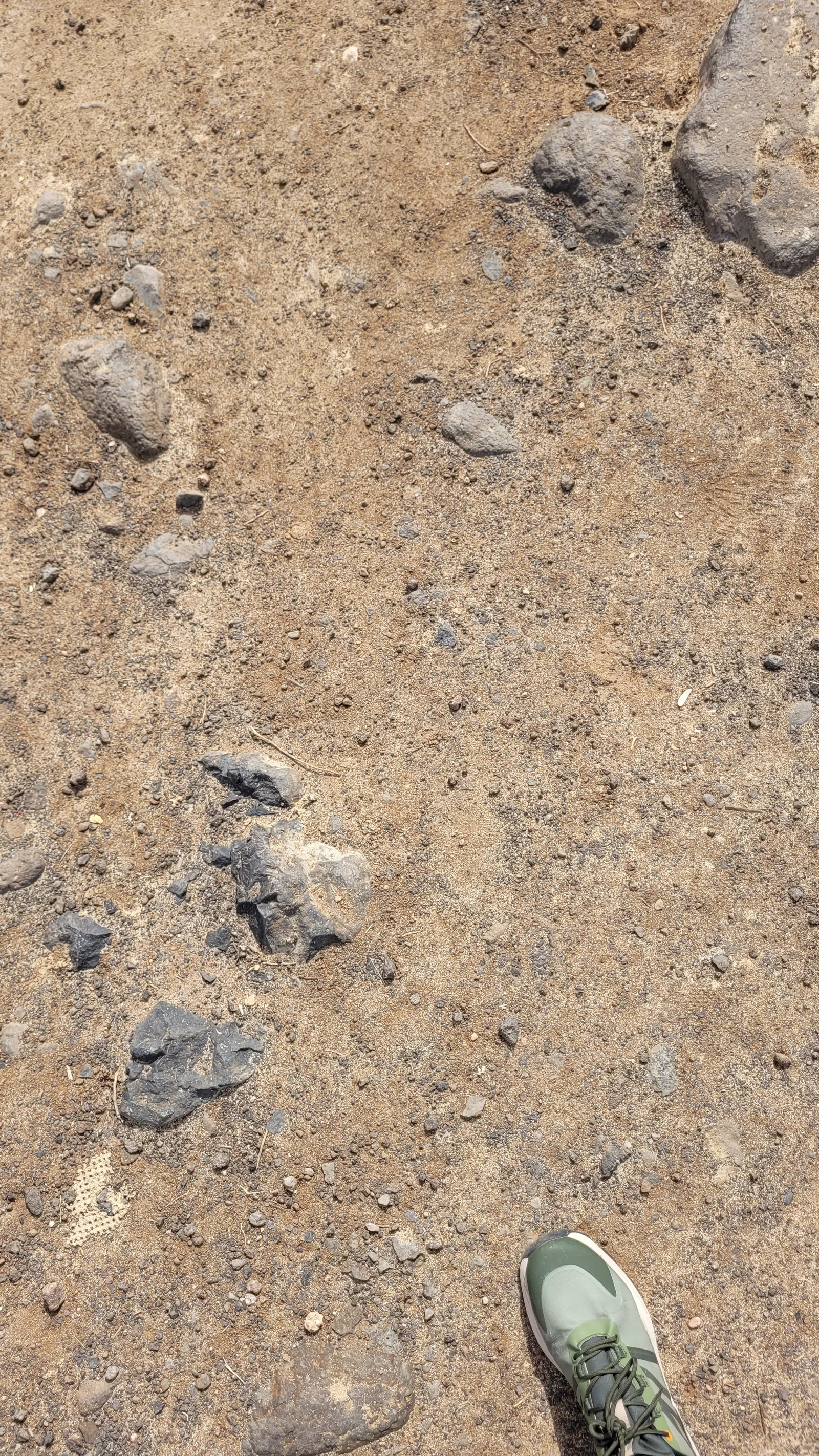 Ground61 texture
