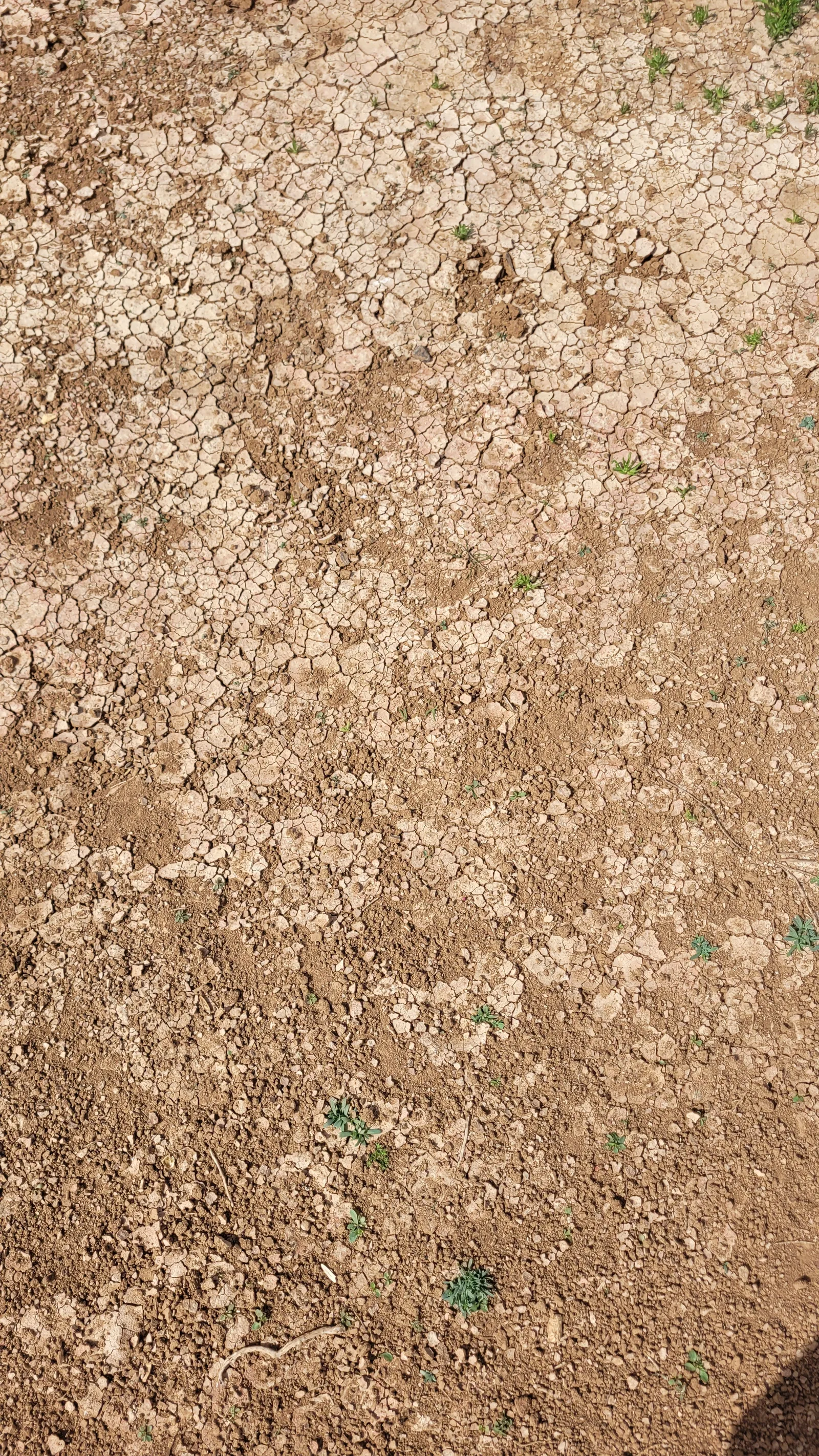 Ground63 texture