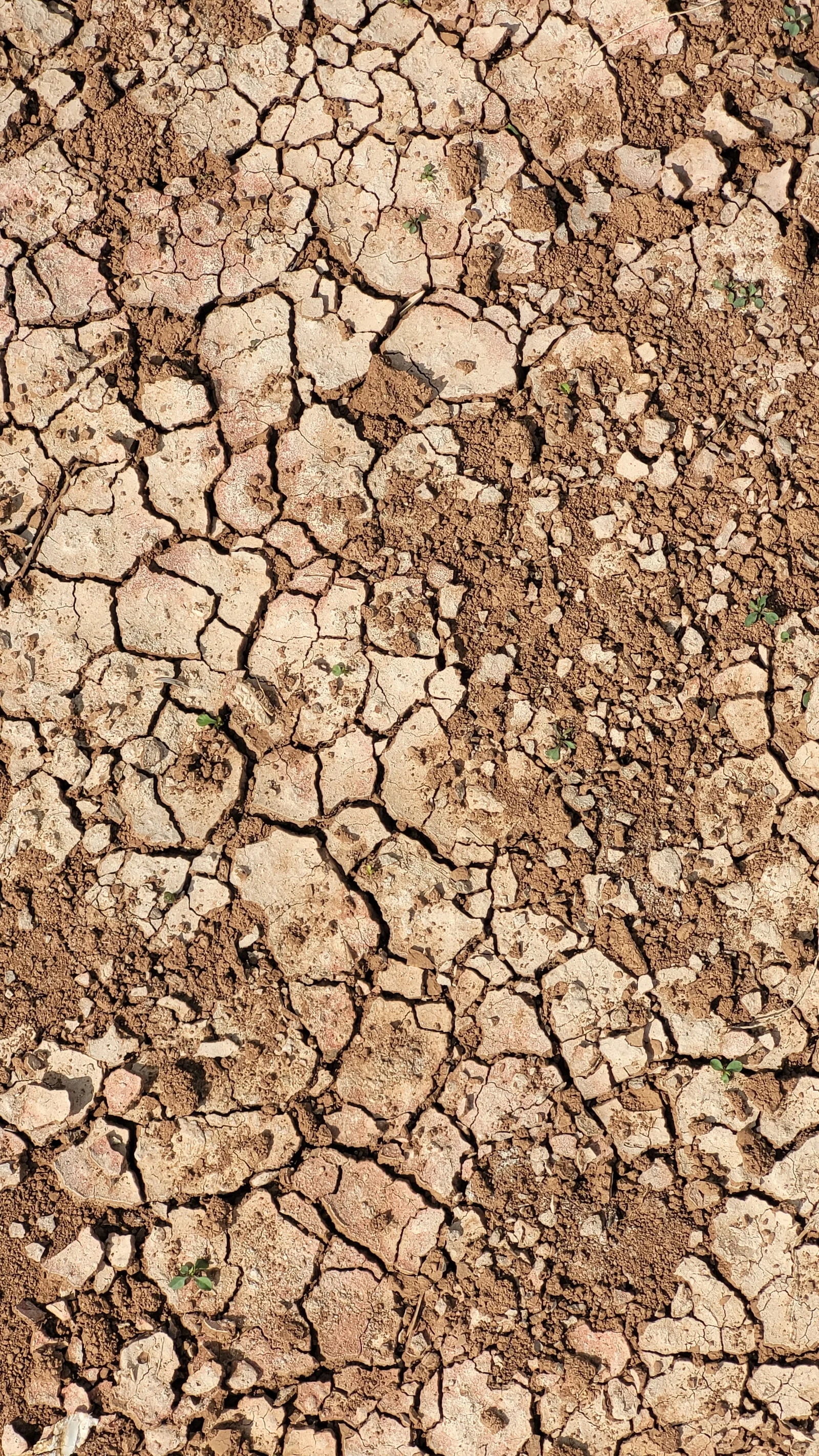 Ground65 texture