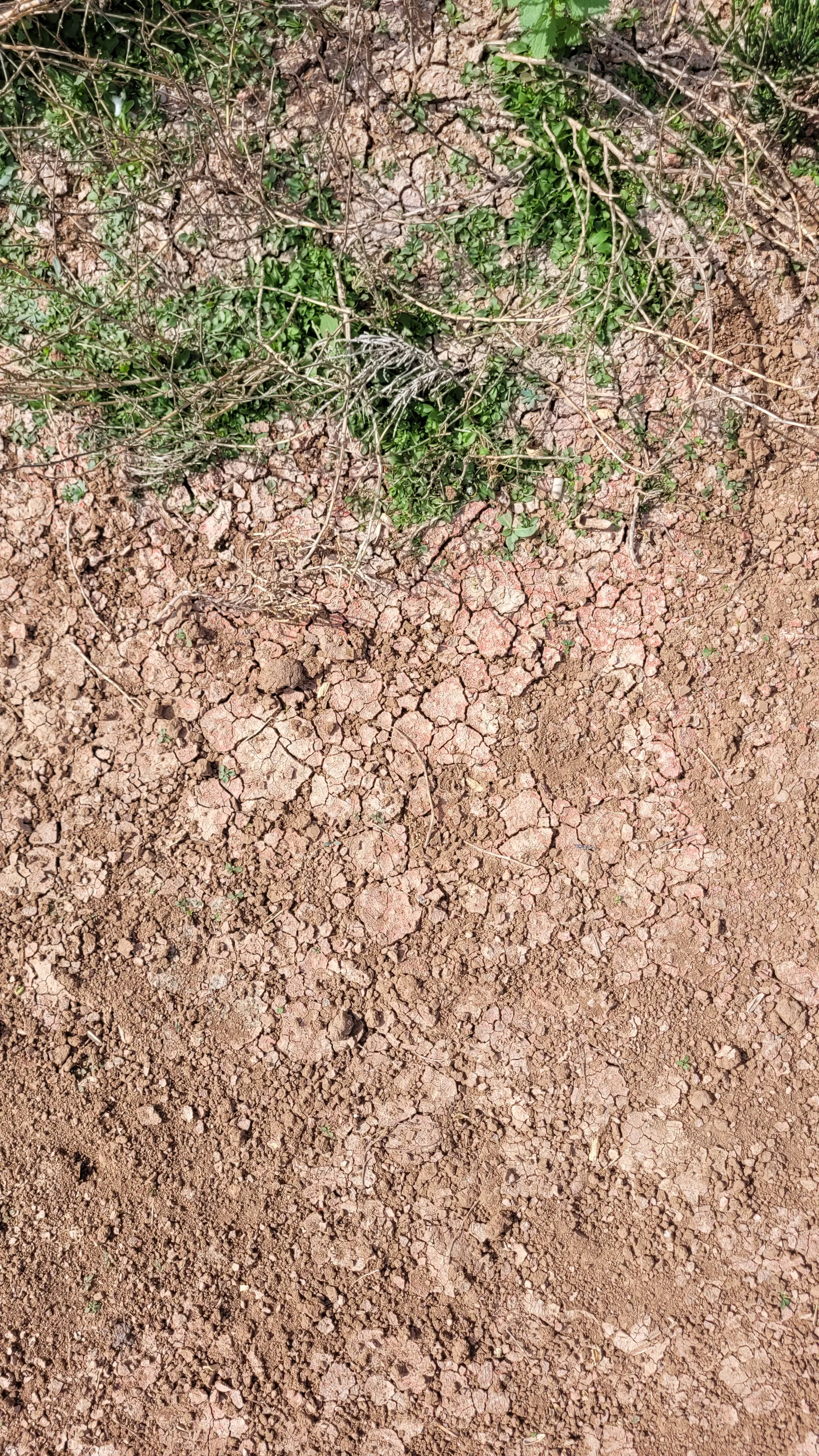 Ground67 texture