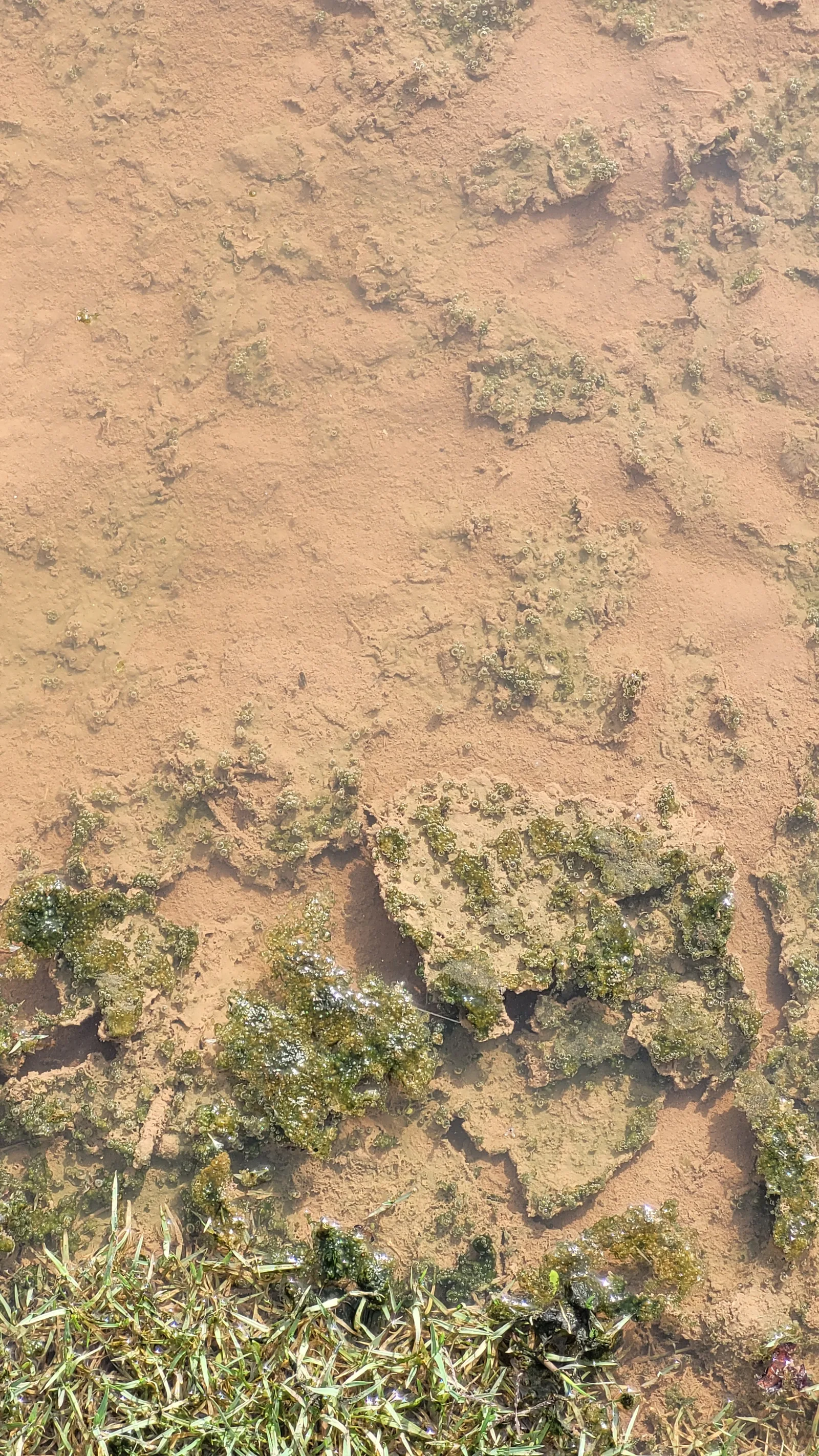 Ground72 texture