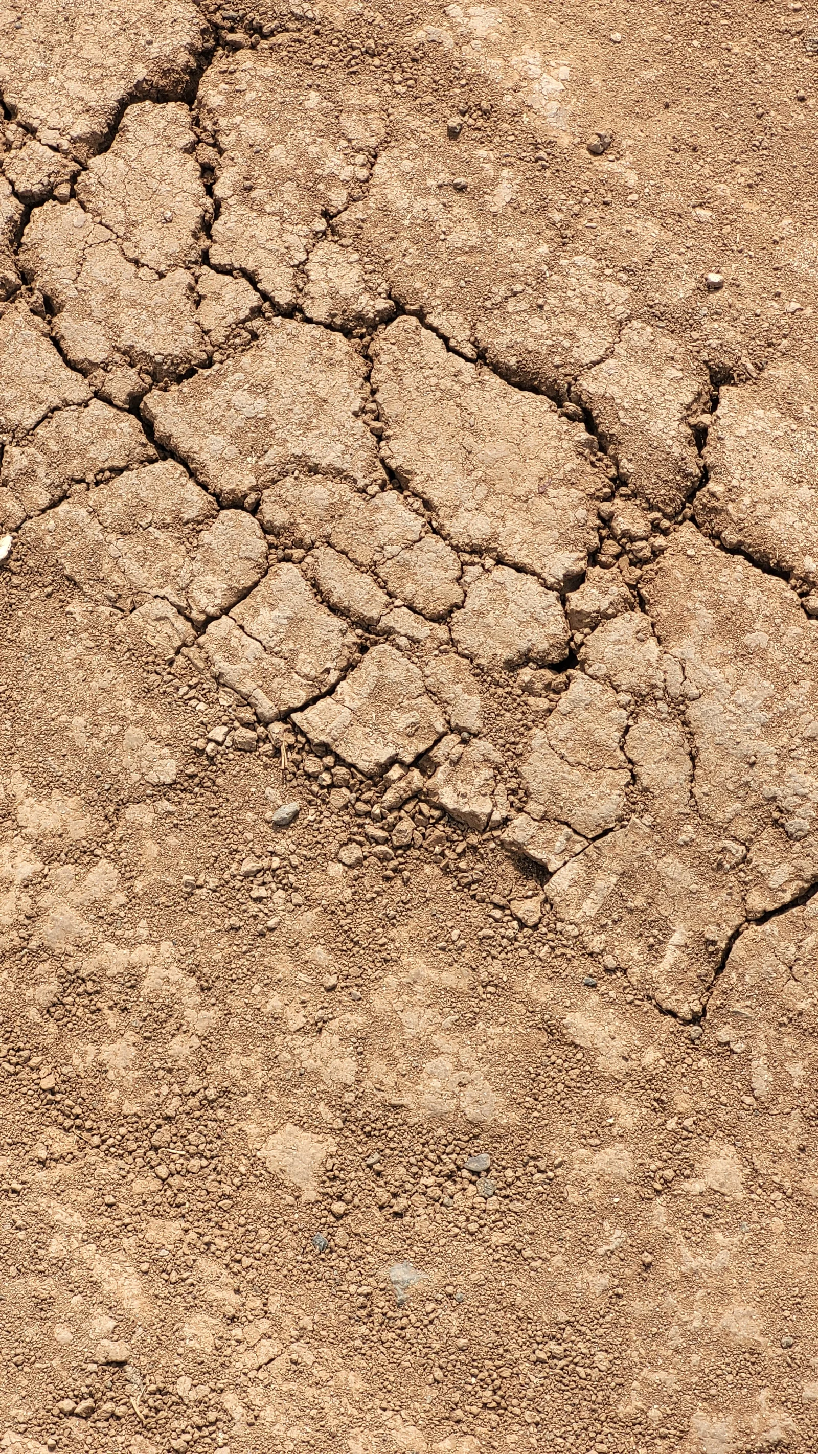 Ground74 texture