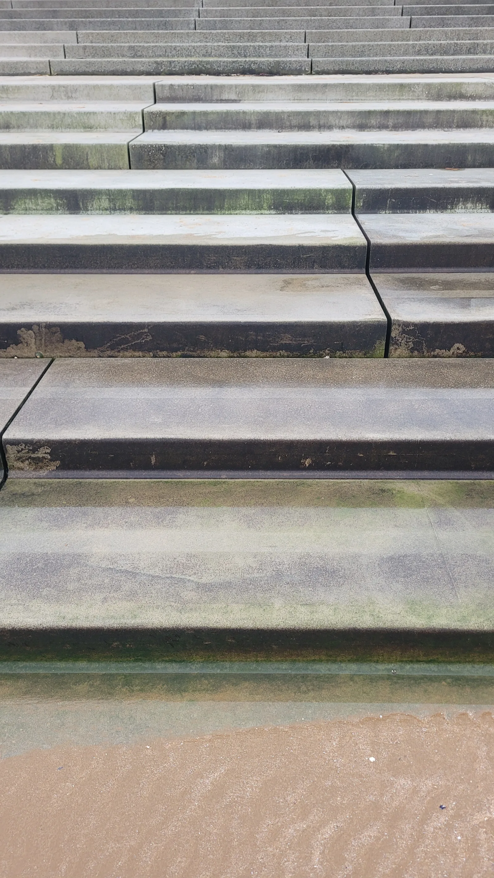 Ground75 texture