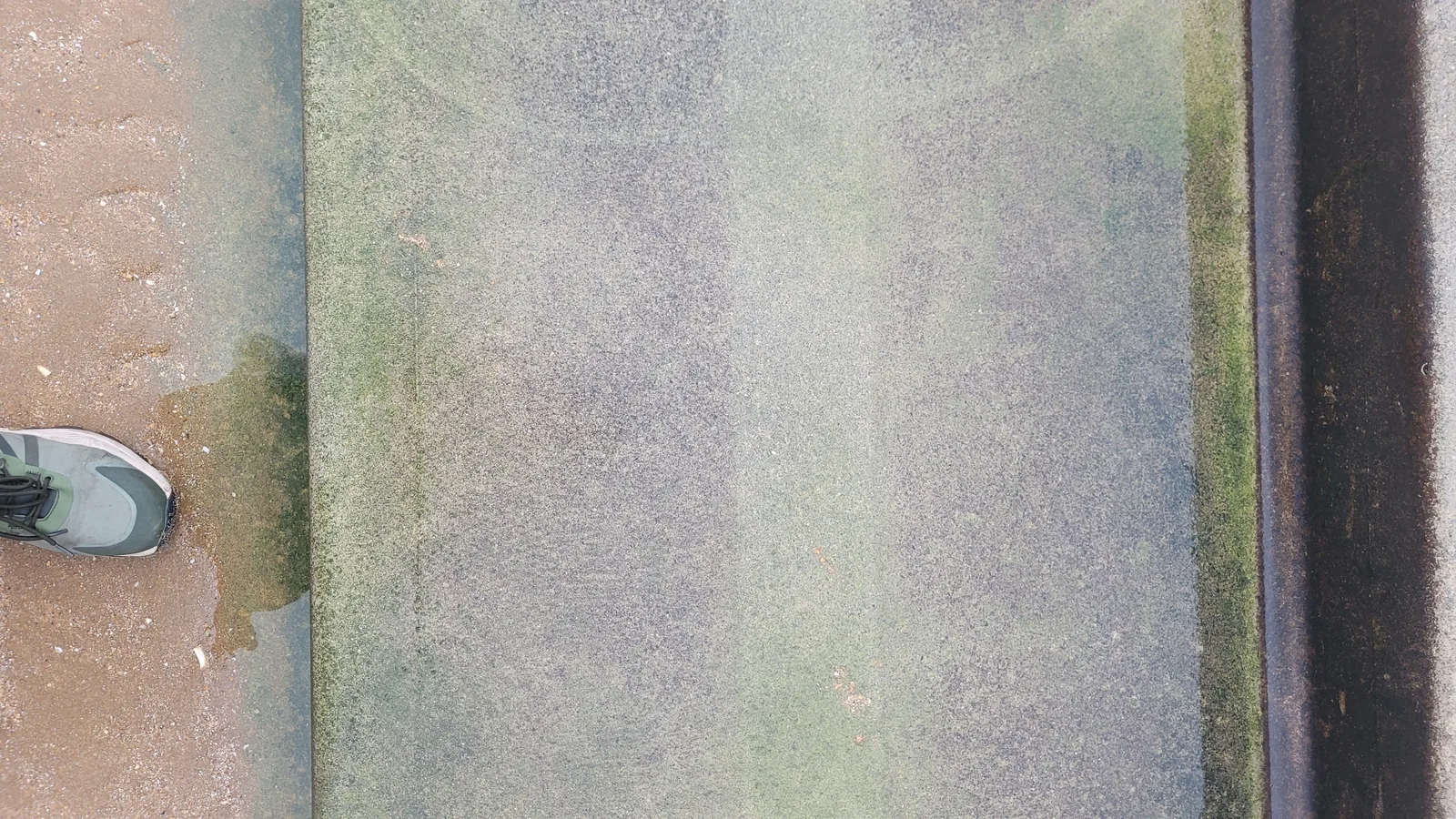 Ground77 texture
