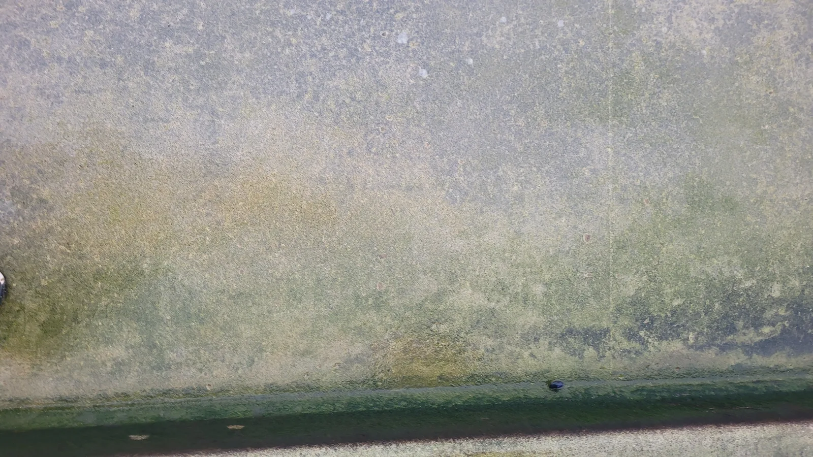 Ground80 texture