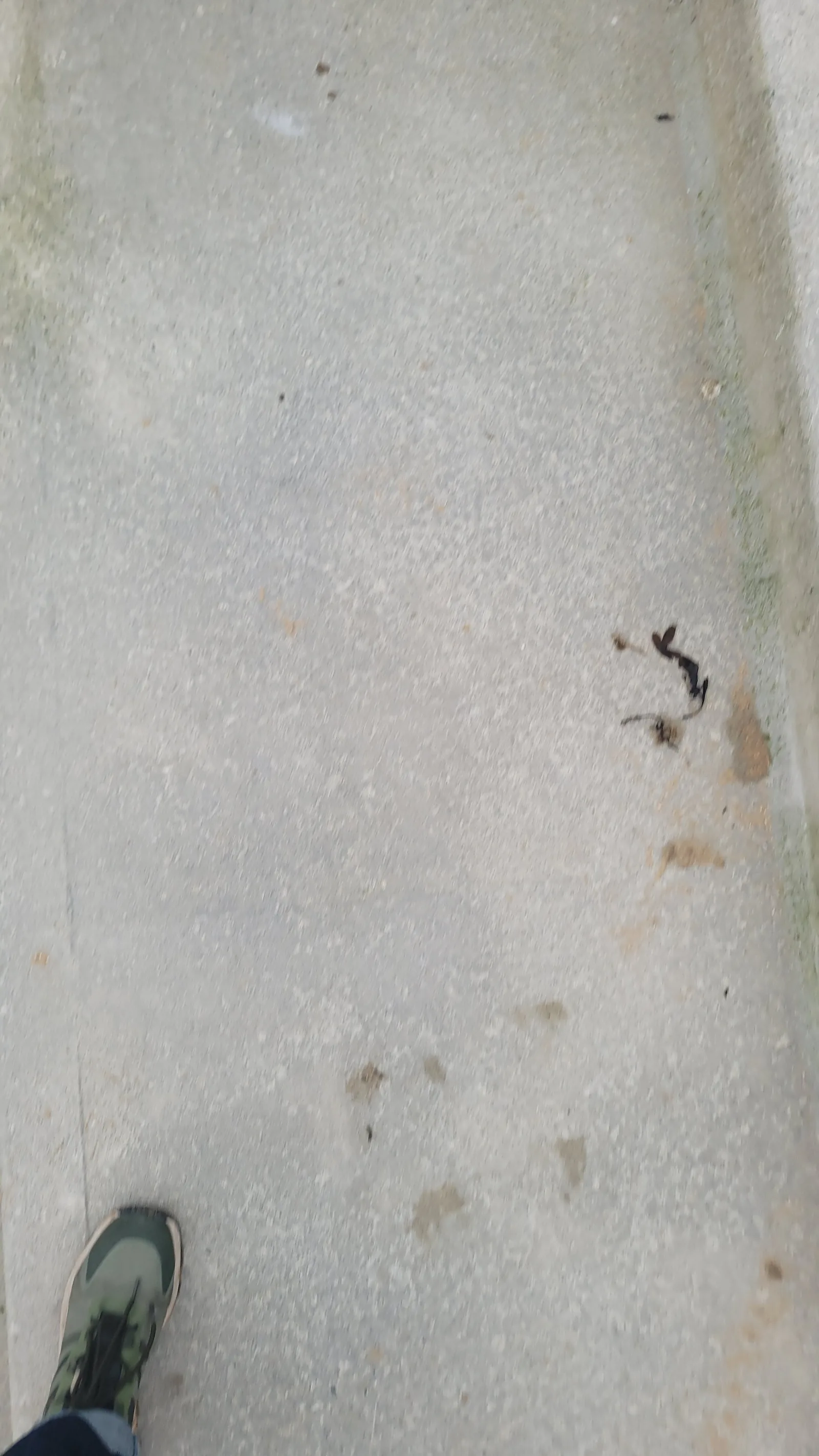 Ground86 texture