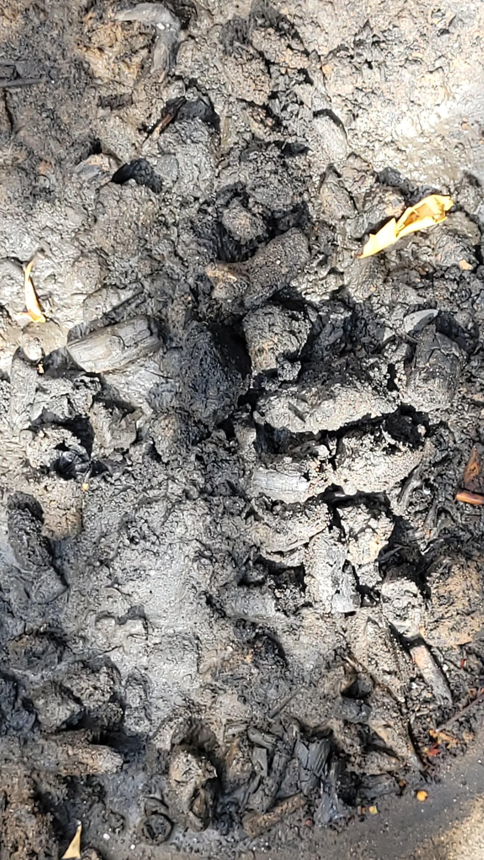 Ground88 texture