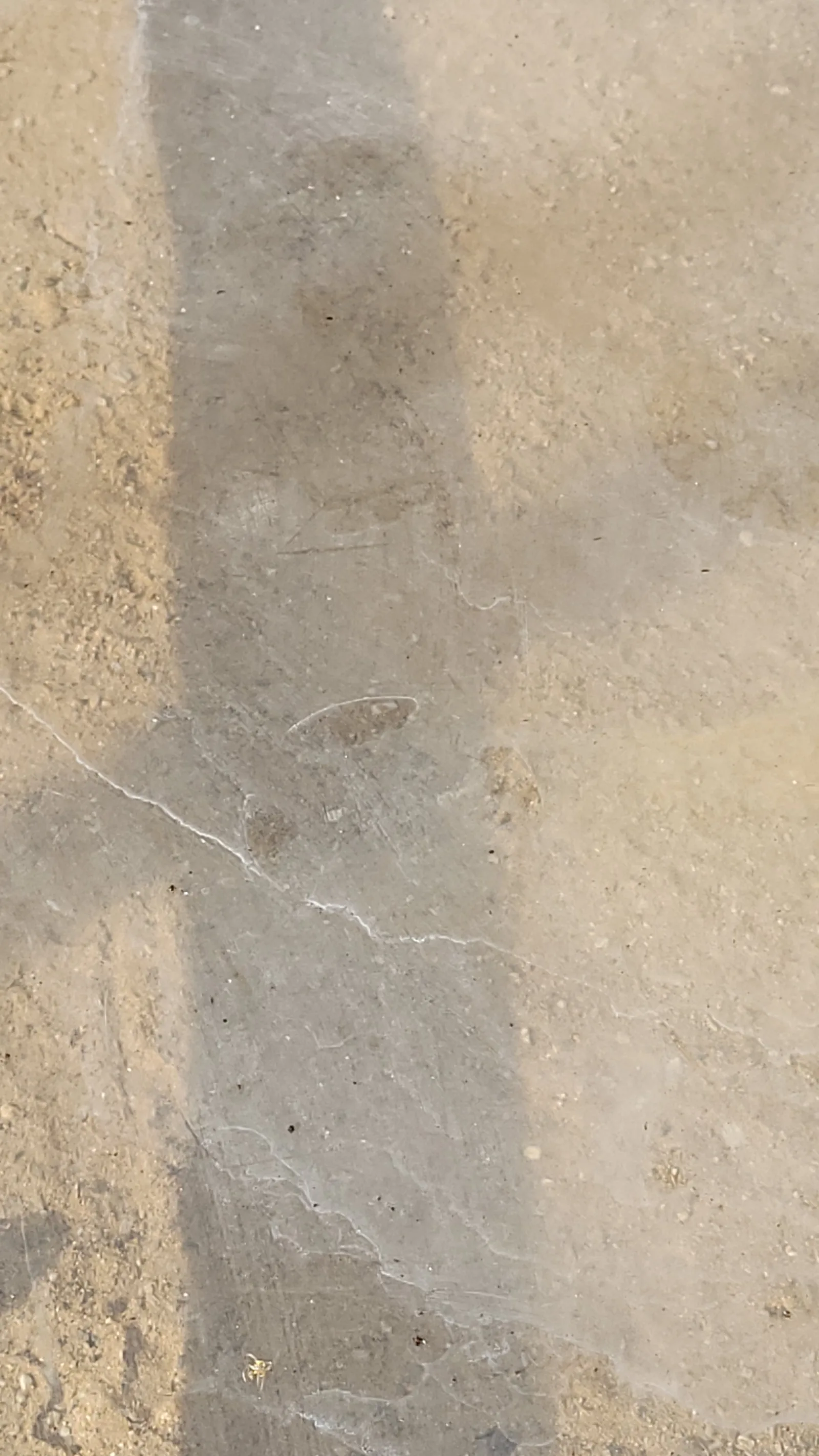 Ground90 texture