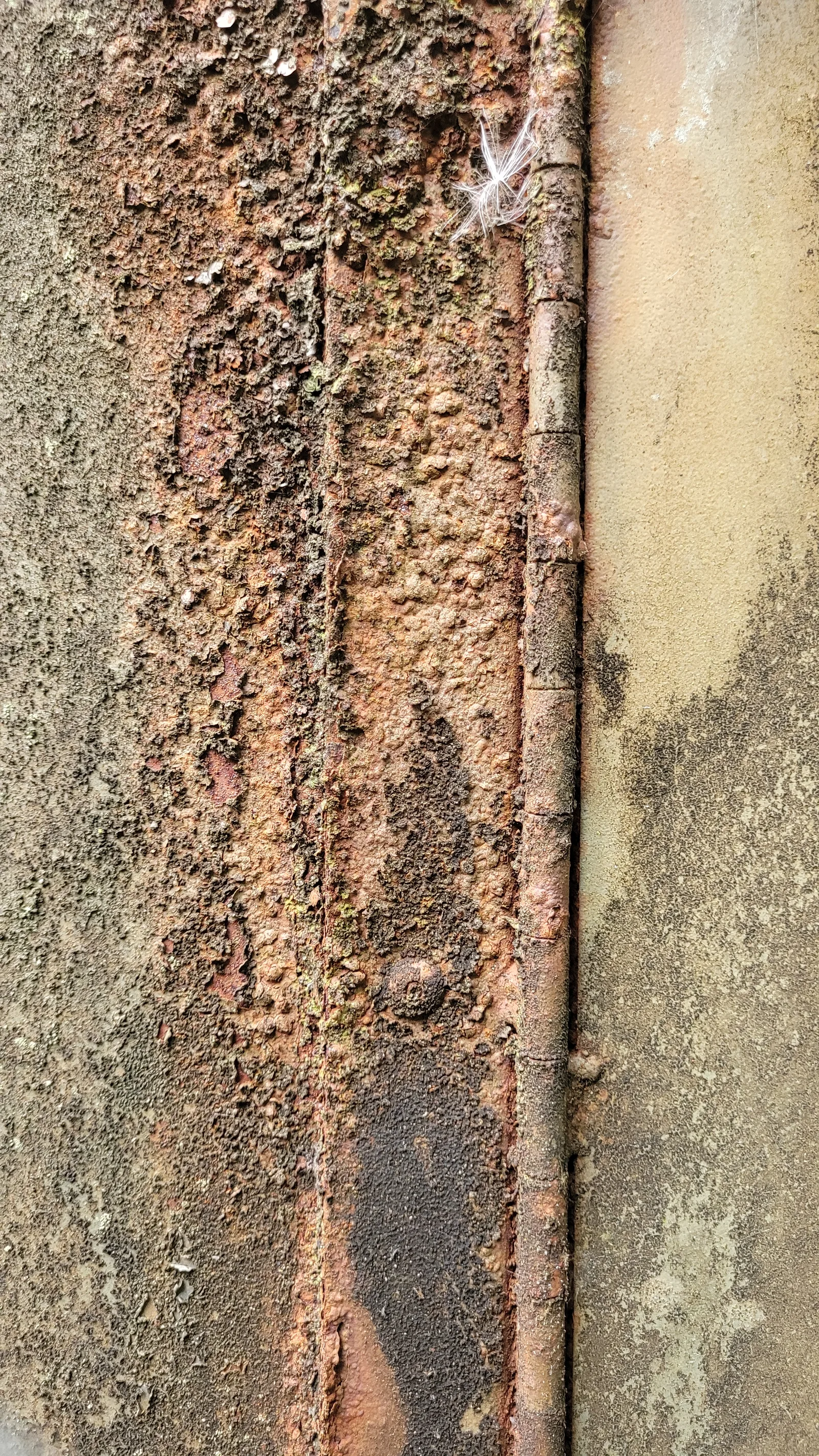 Metal15 texture