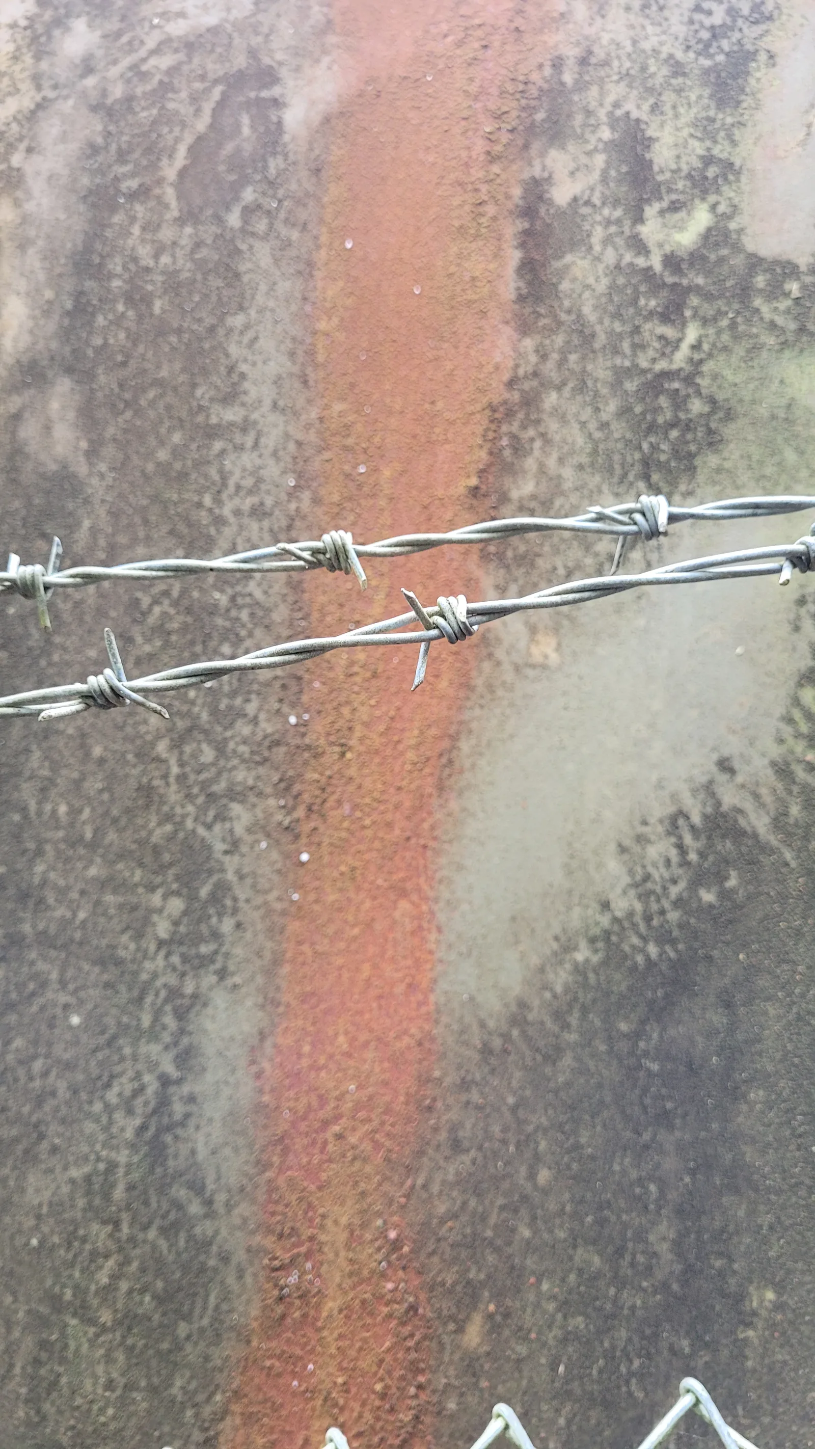Metal20 texture