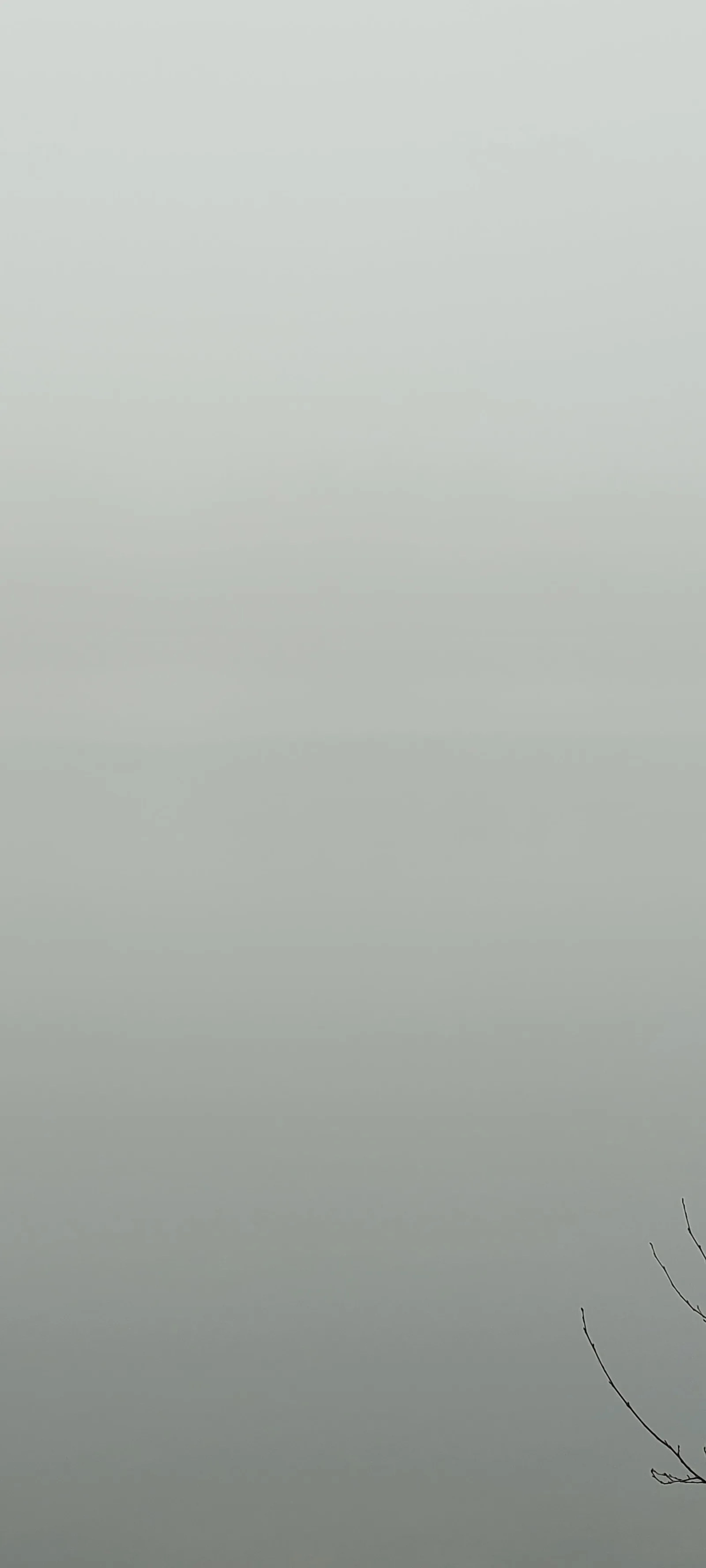 Organic102 texture