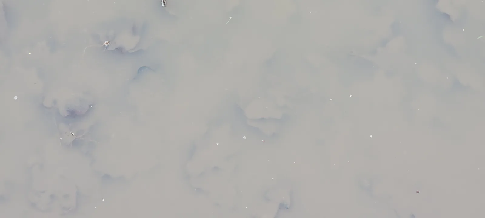 Organic104 texture
