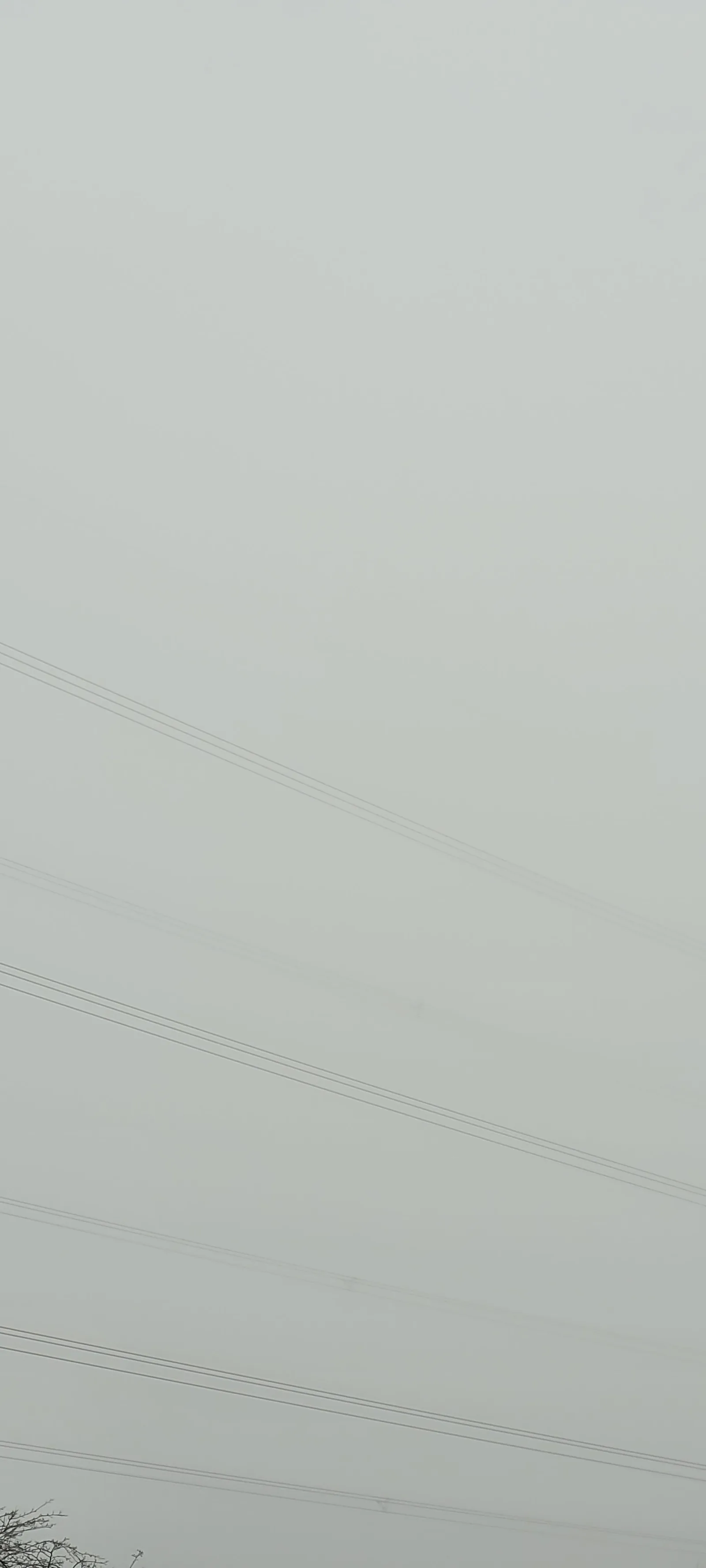 Organic105 texture