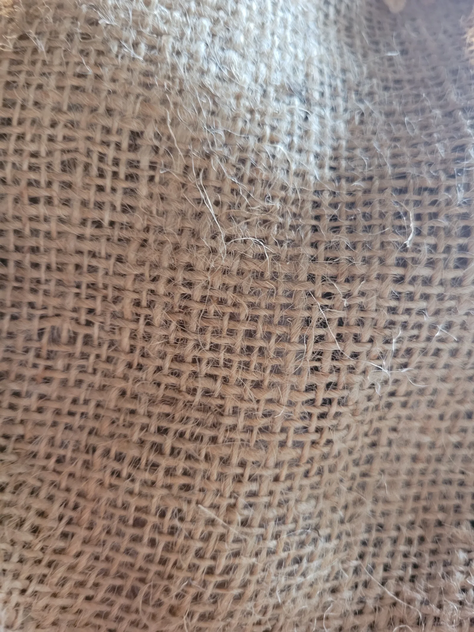 Other20 texture