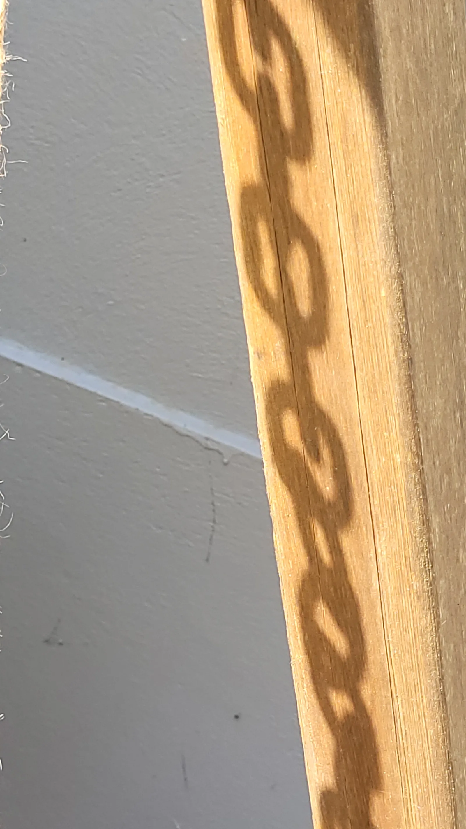 Other122 texture
