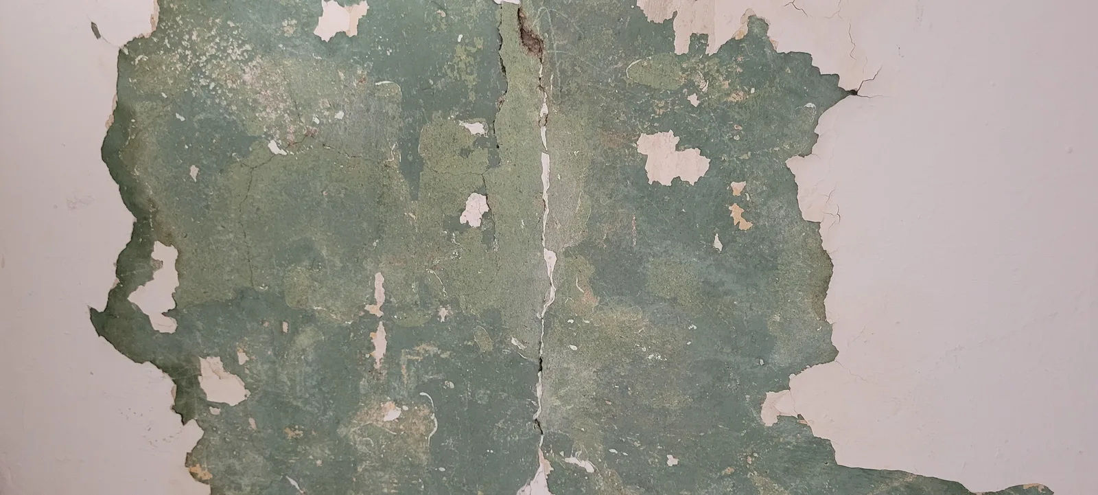 Paint1 texture